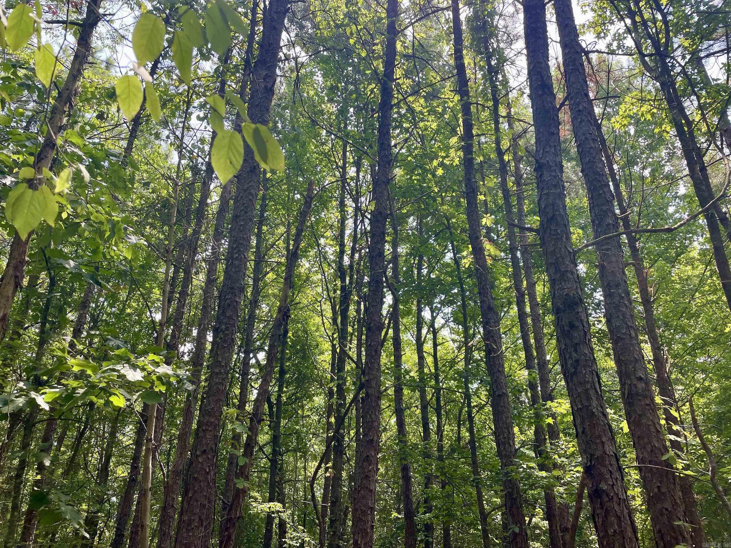 000  HWY 16  Clinton, AR