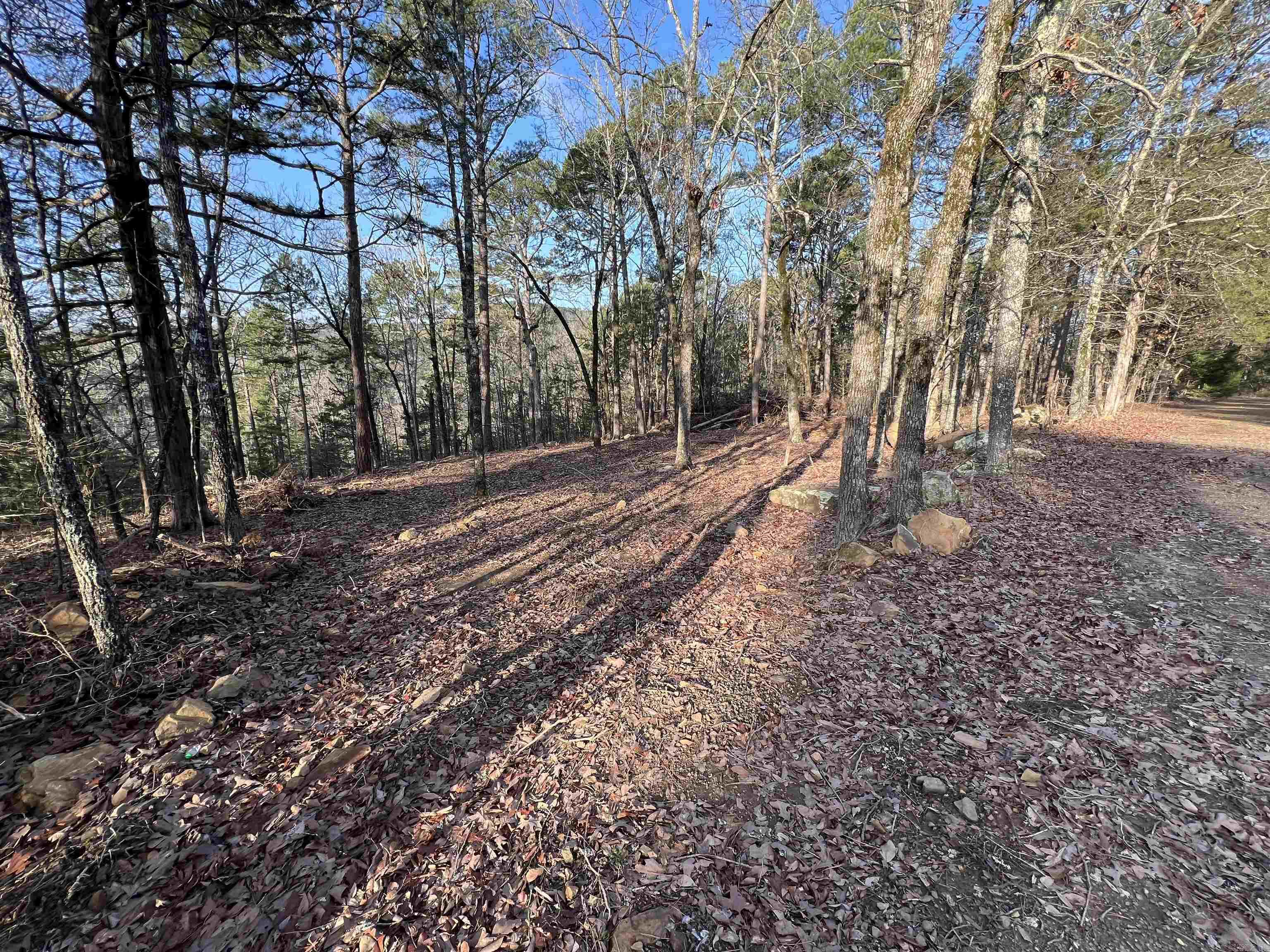 128  Lynn Creek Drive  Fairfield Bay, AR