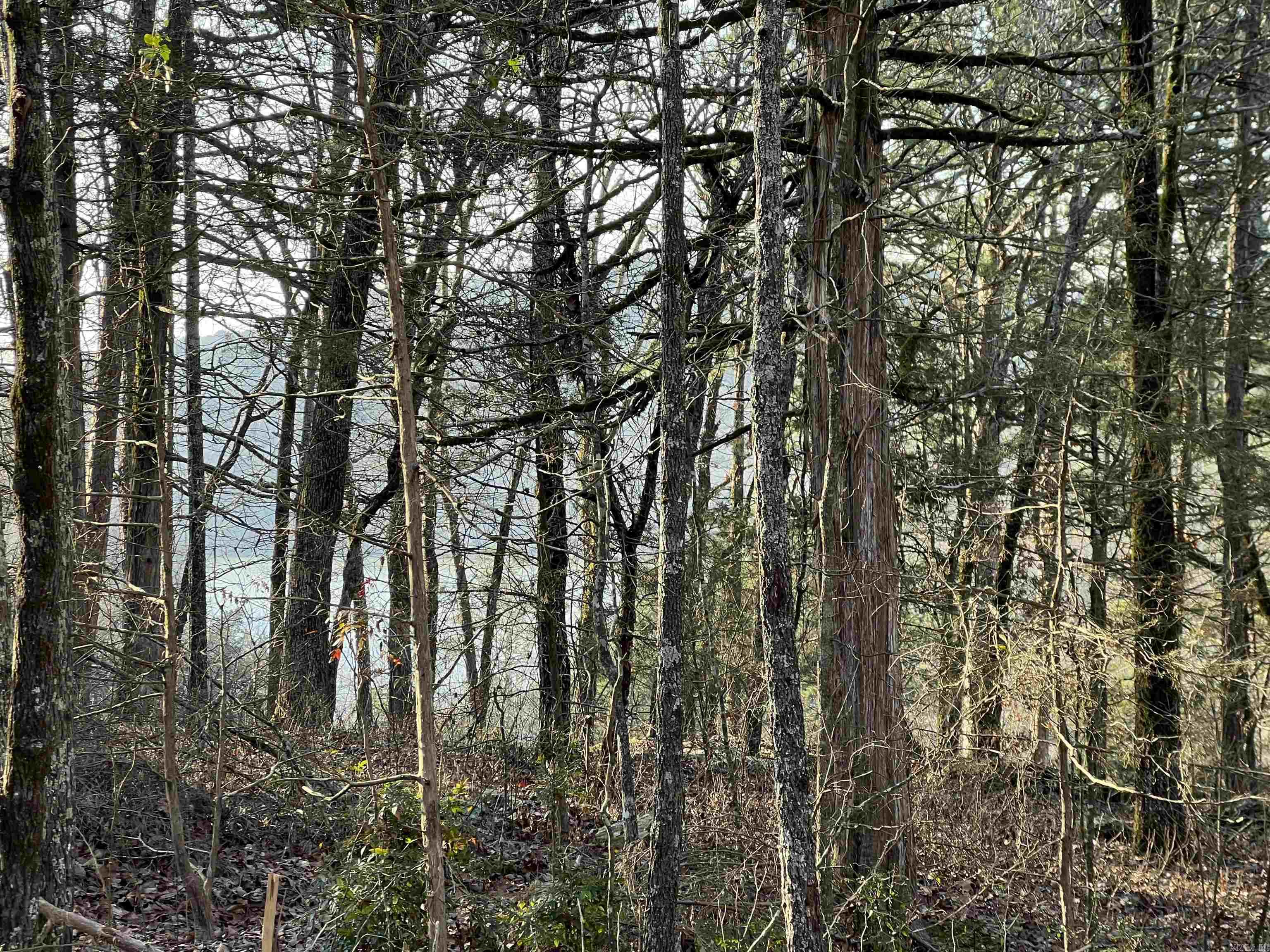 128  Lynn Creek Drive  Fairfield Bay, AR