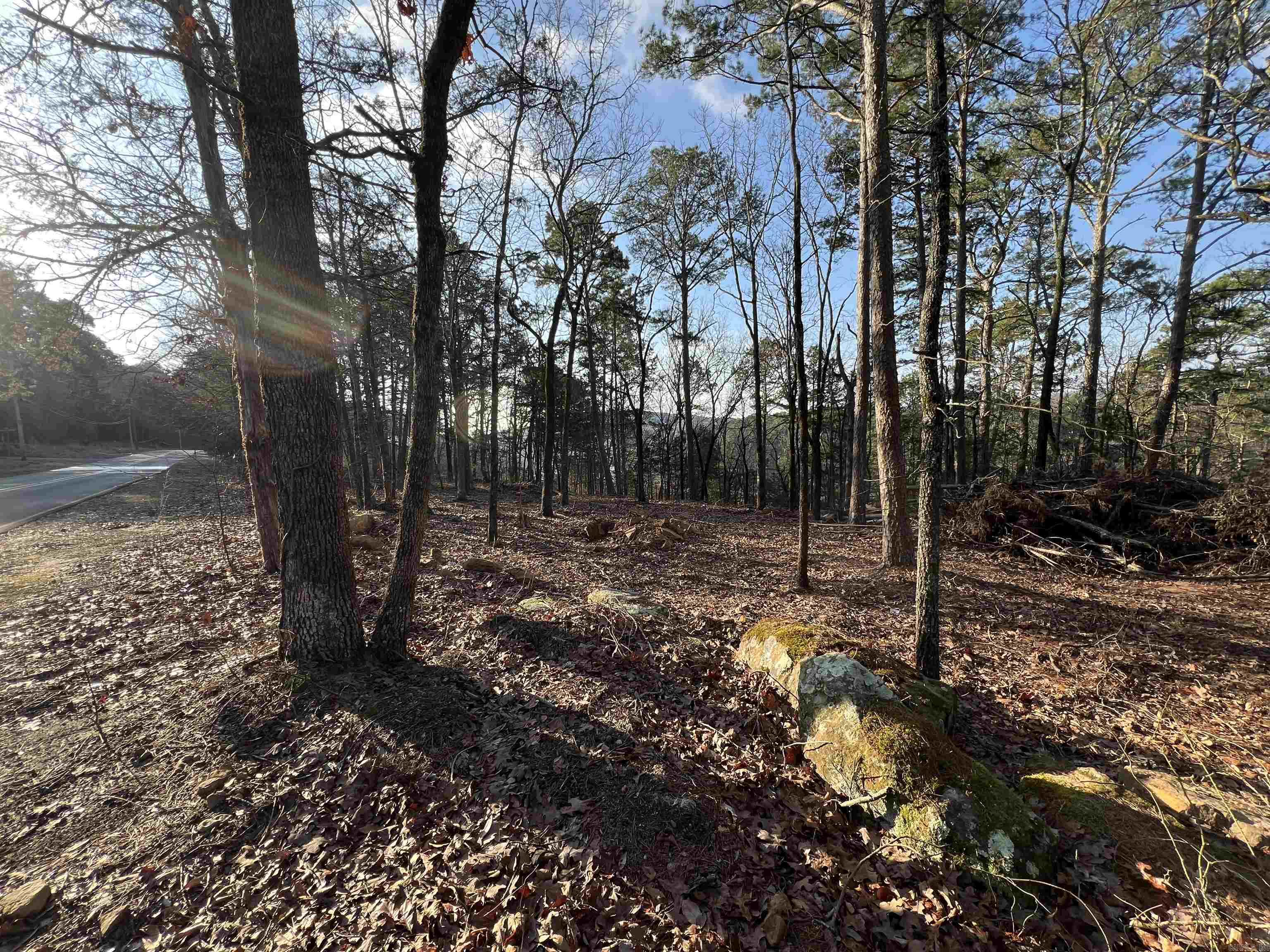 128  Lynn Creek Drive  Fairfield Bay, AR