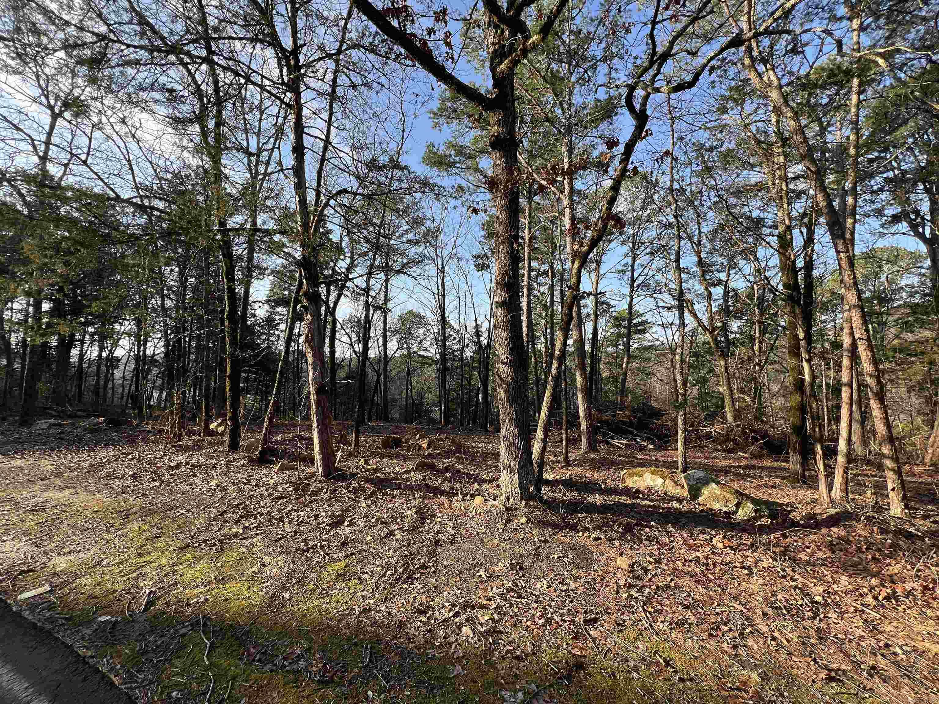 128  Lynn Creek Drive  Fairfield Bay, AR