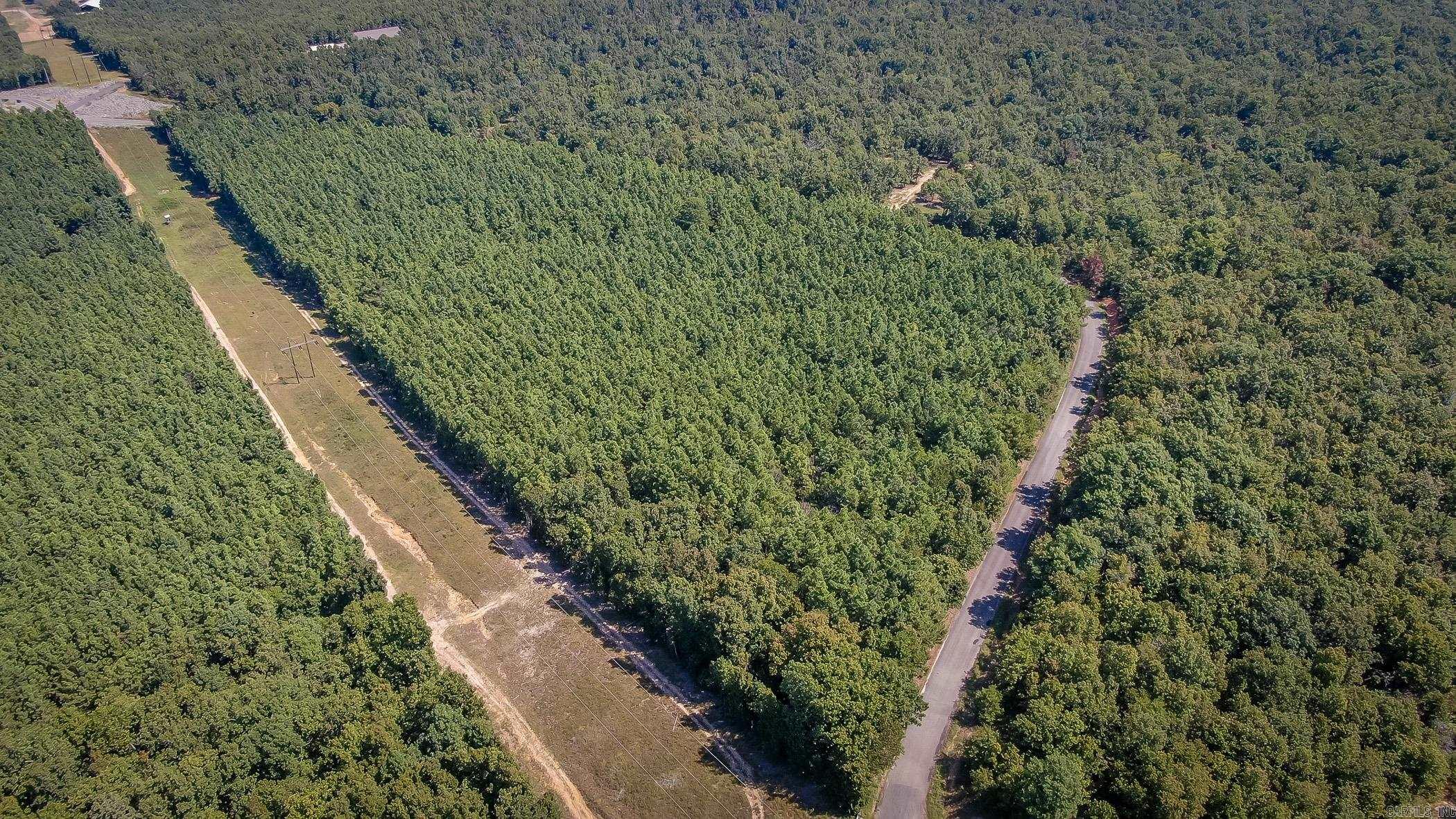 560  Beryl  Vilonia, AR