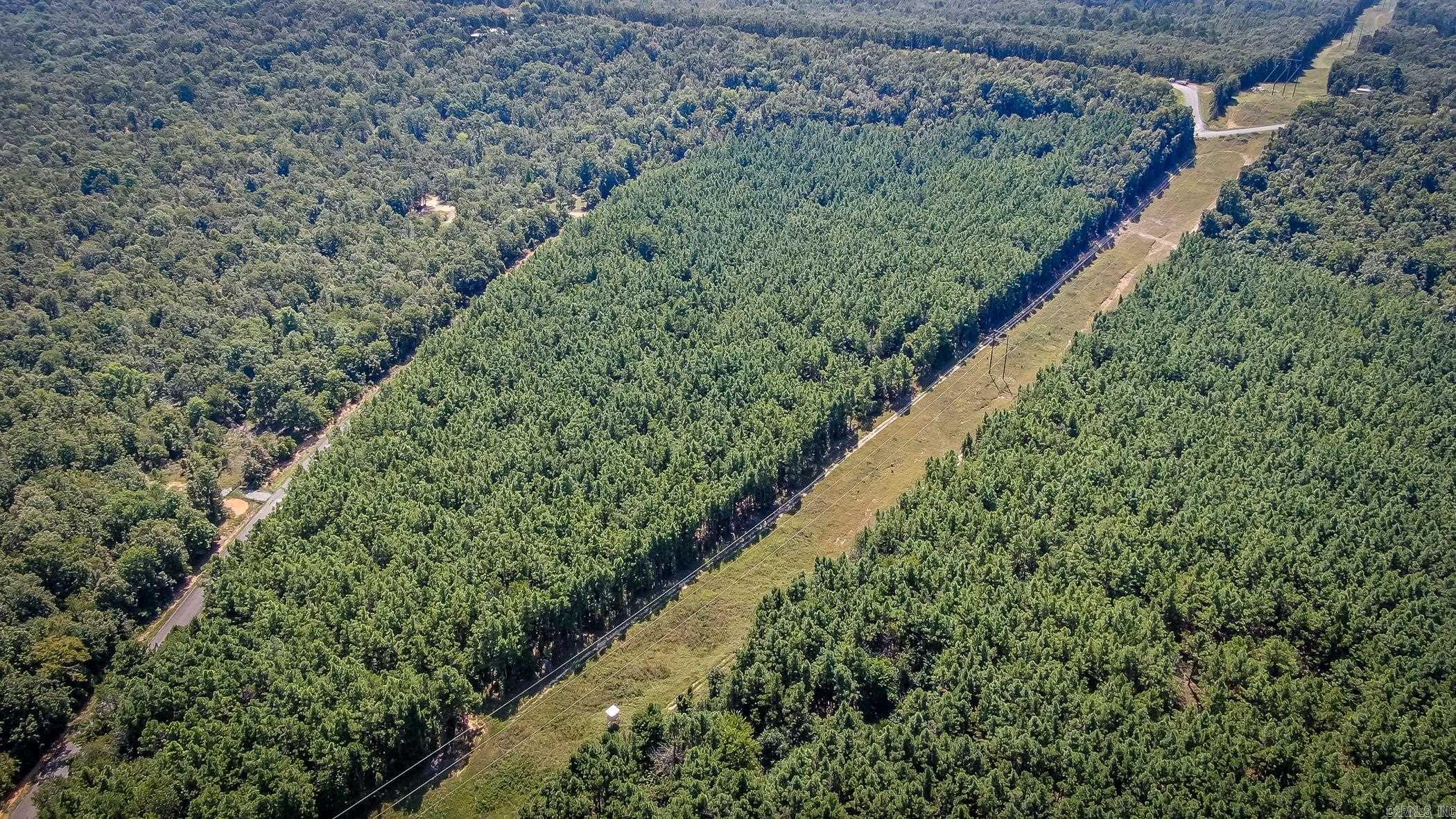 560  Beryl  Vilonia, AR
