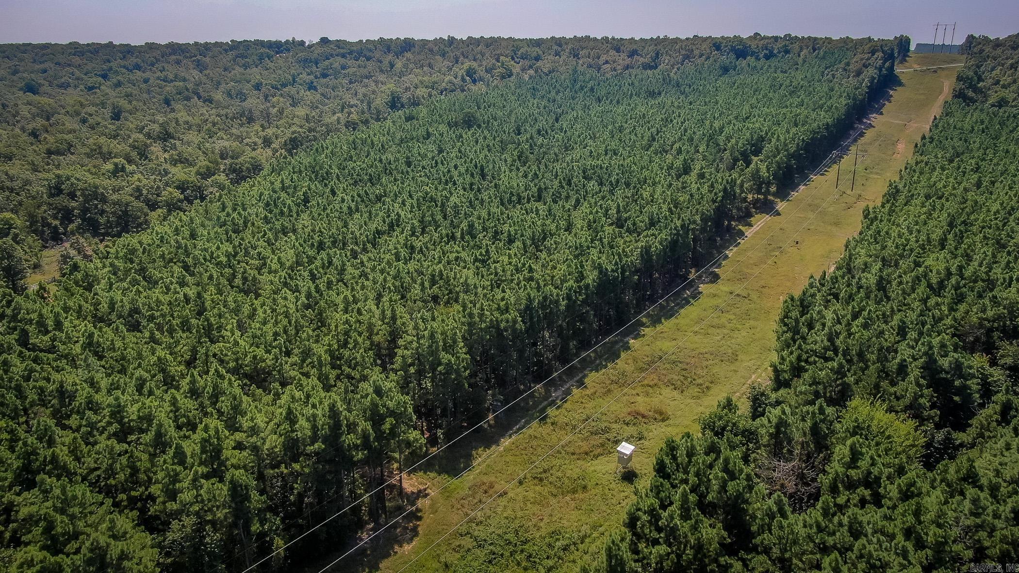560  Beryl  Vilonia, AR