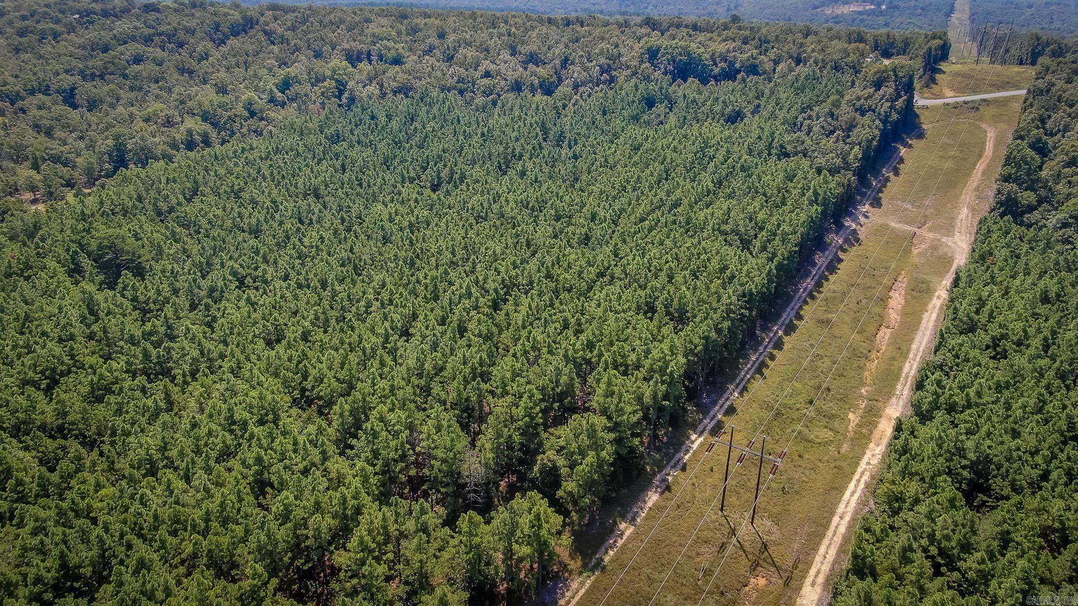560  Beryl  Vilonia, AR