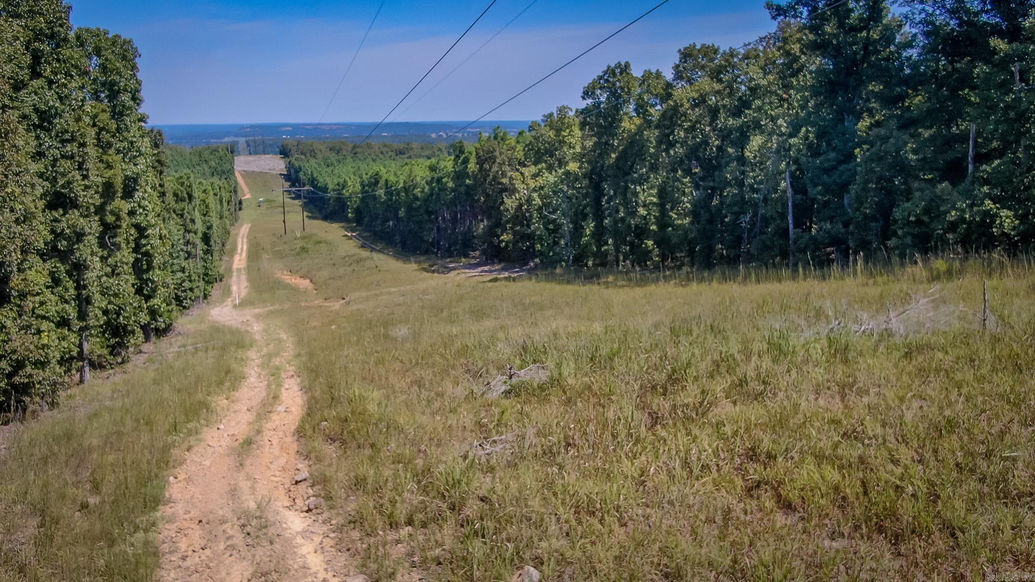 560  Beryl  Vilonia, AR