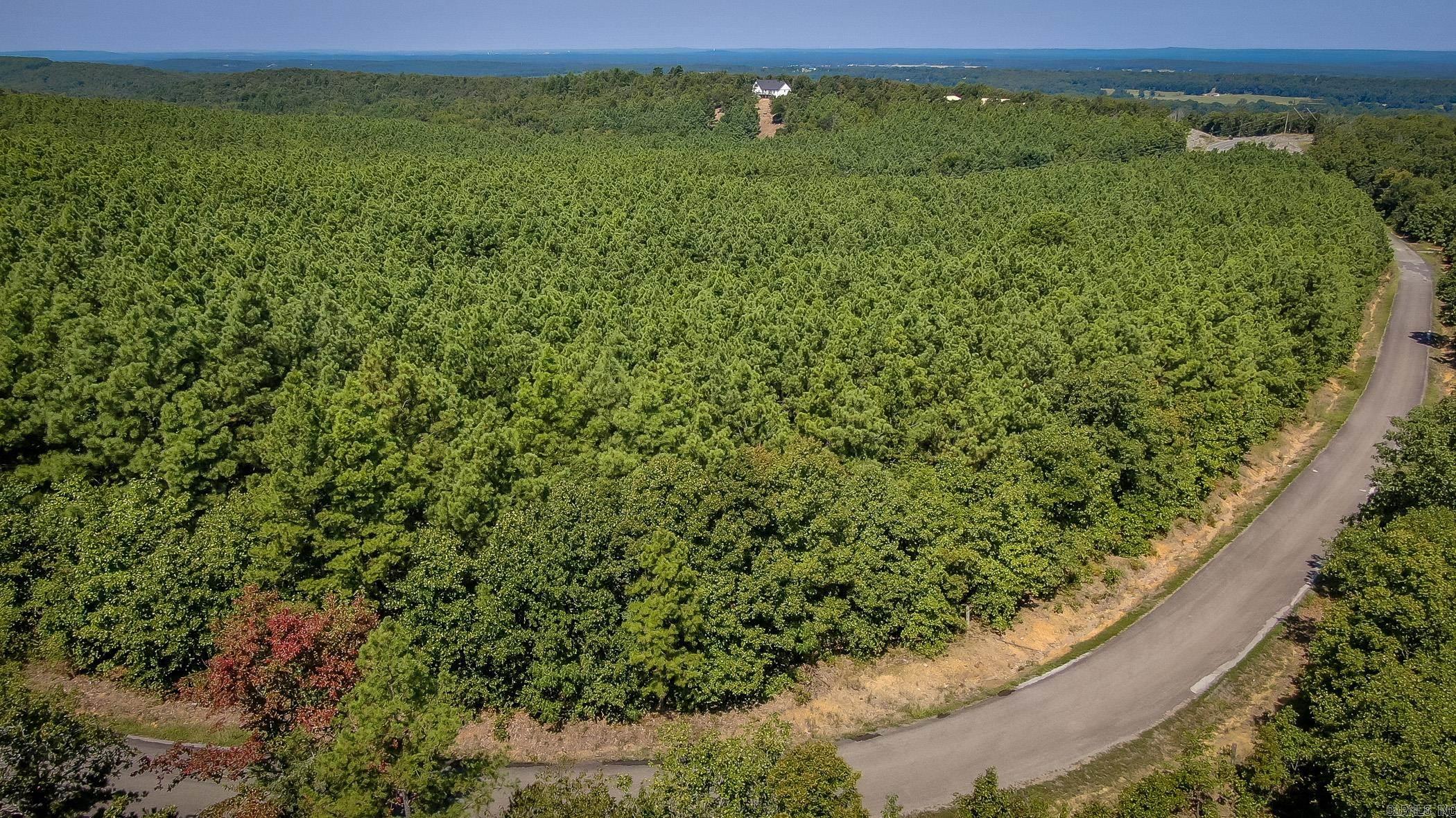 560  Beryl  Vilonia, AR