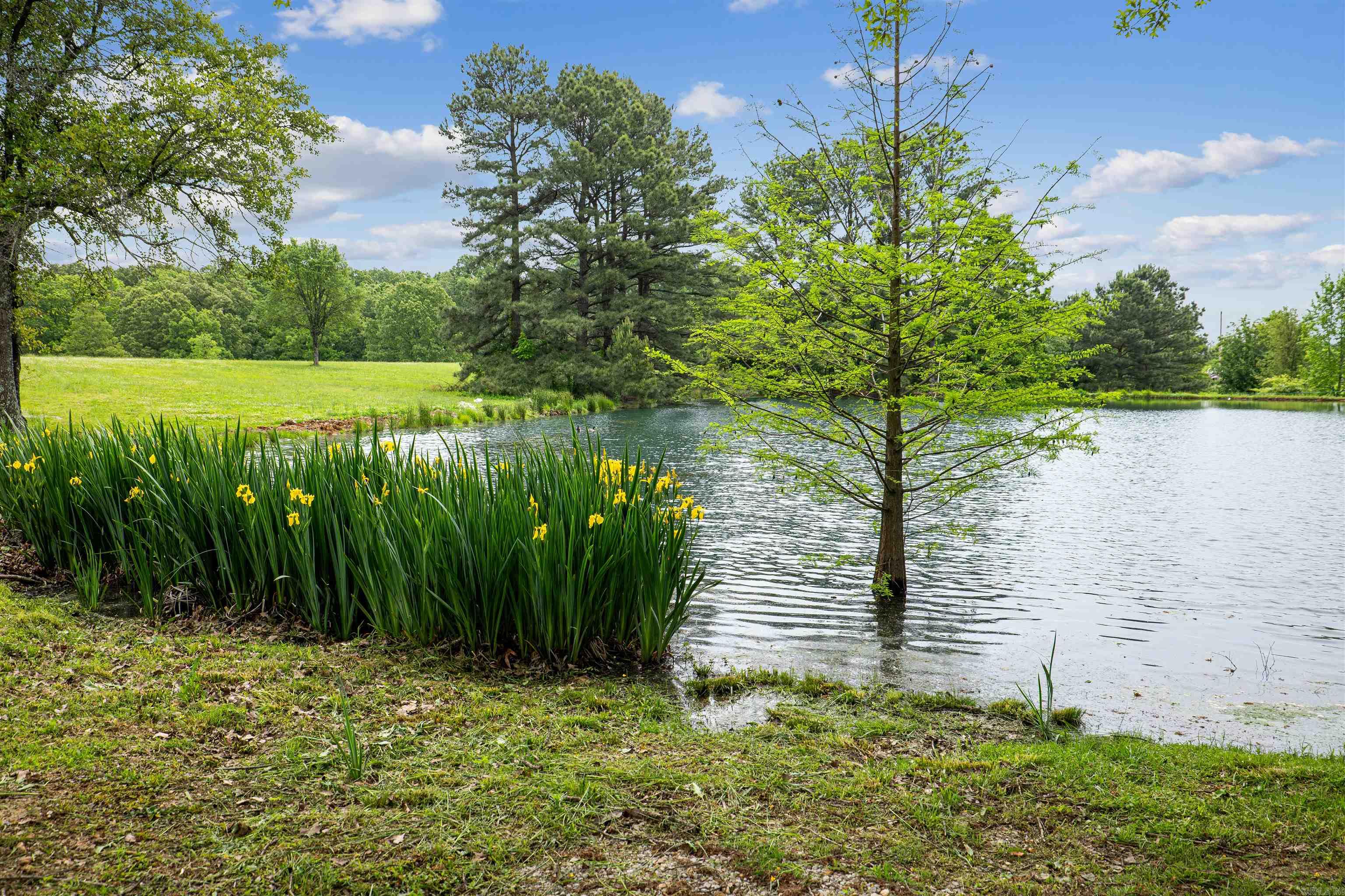 4851  County Road 745  Jonesboro, AR