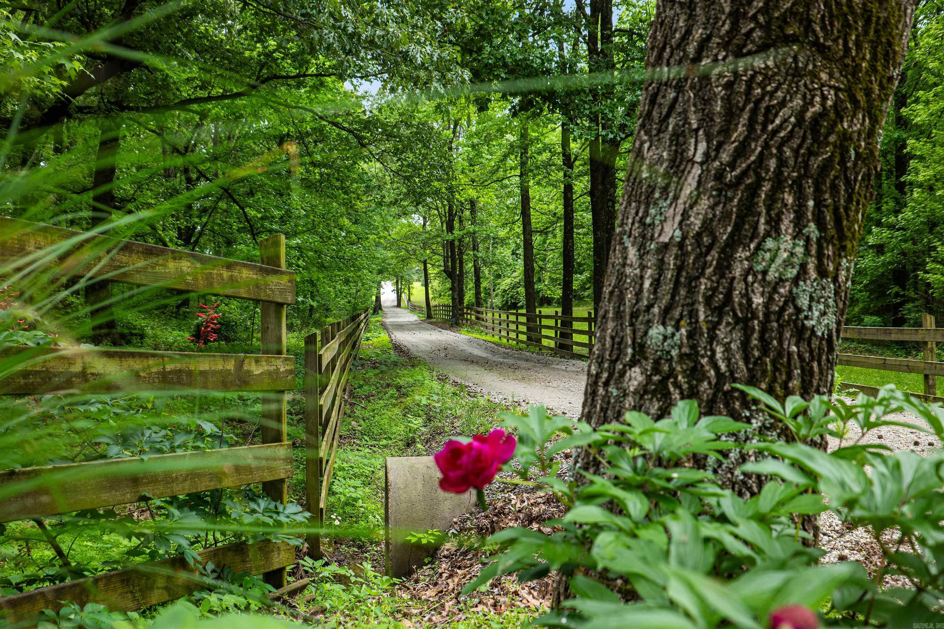 4851  County Road 745  Jonesboro, AR