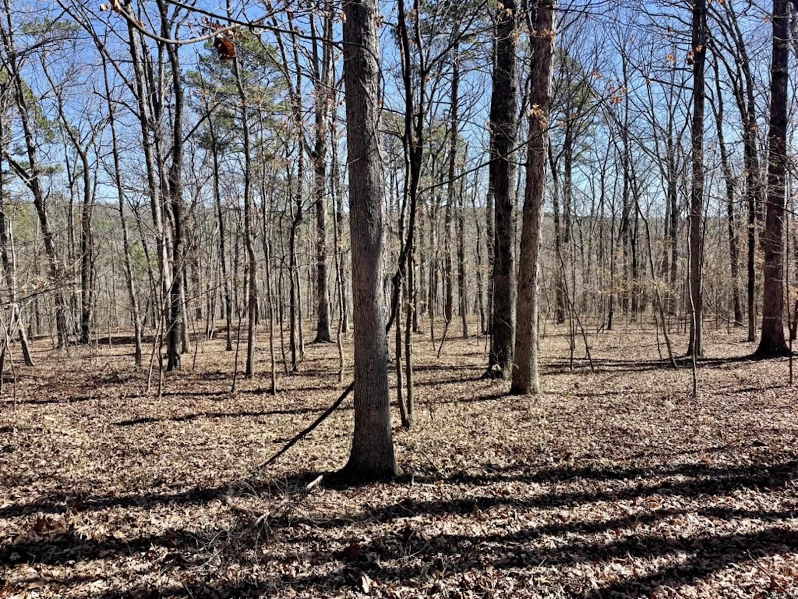 000  Old Brewer Rd. S  Edgemont, AR