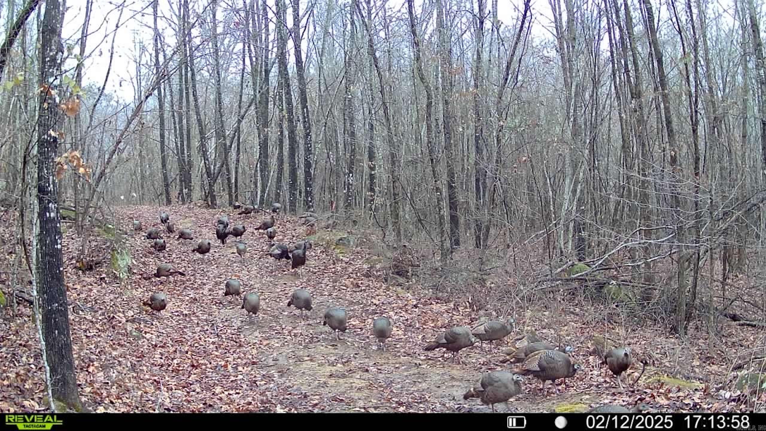 000  Old Brewer Rd. S  Edgemont, AR