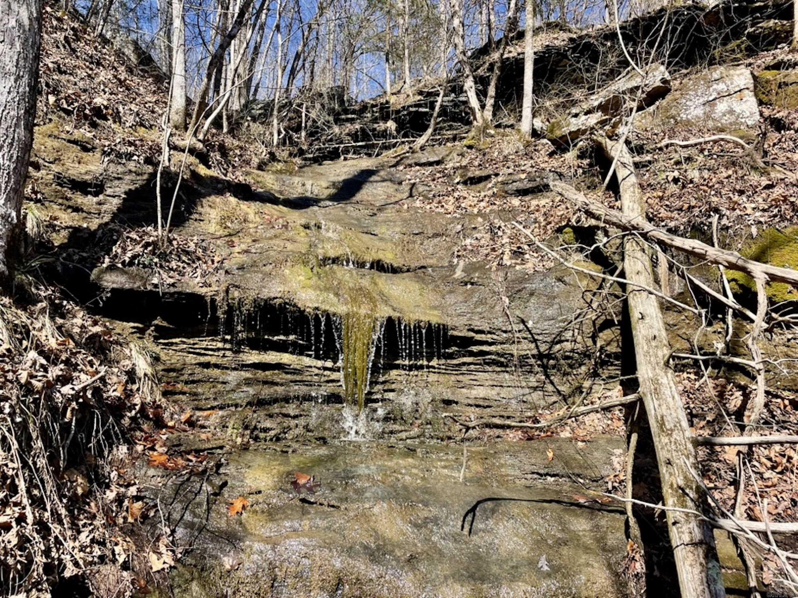 000  Old Brewer Rd. S  Edgemont, AR