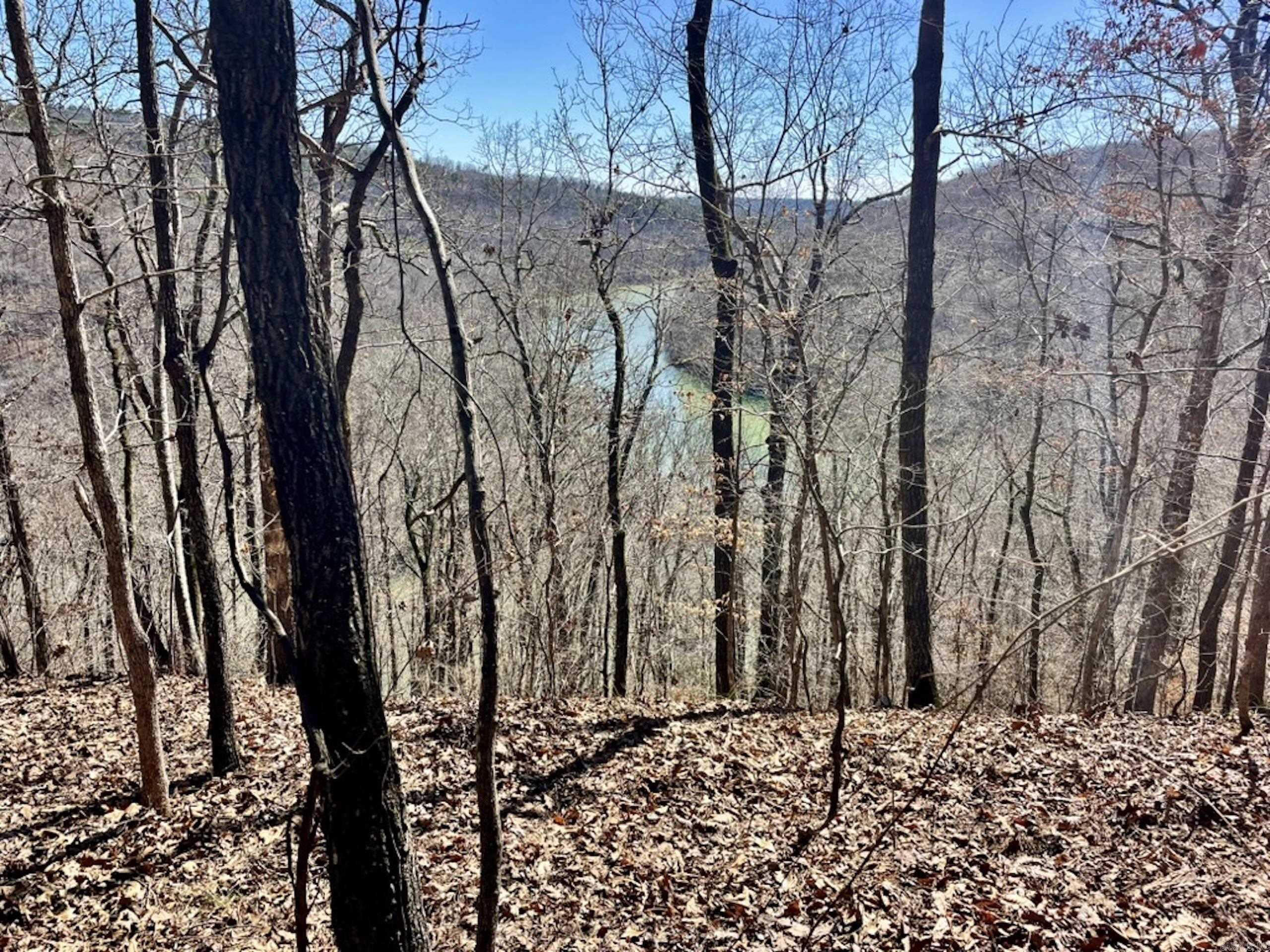 000  Old Brewer Rd. S  Edgemont, AR