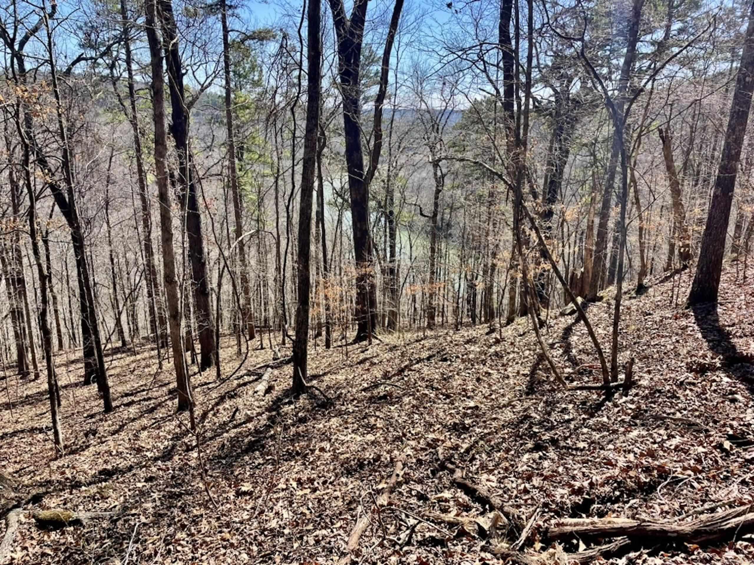 000  Old Brewer Rd. S  Edgemont, AR