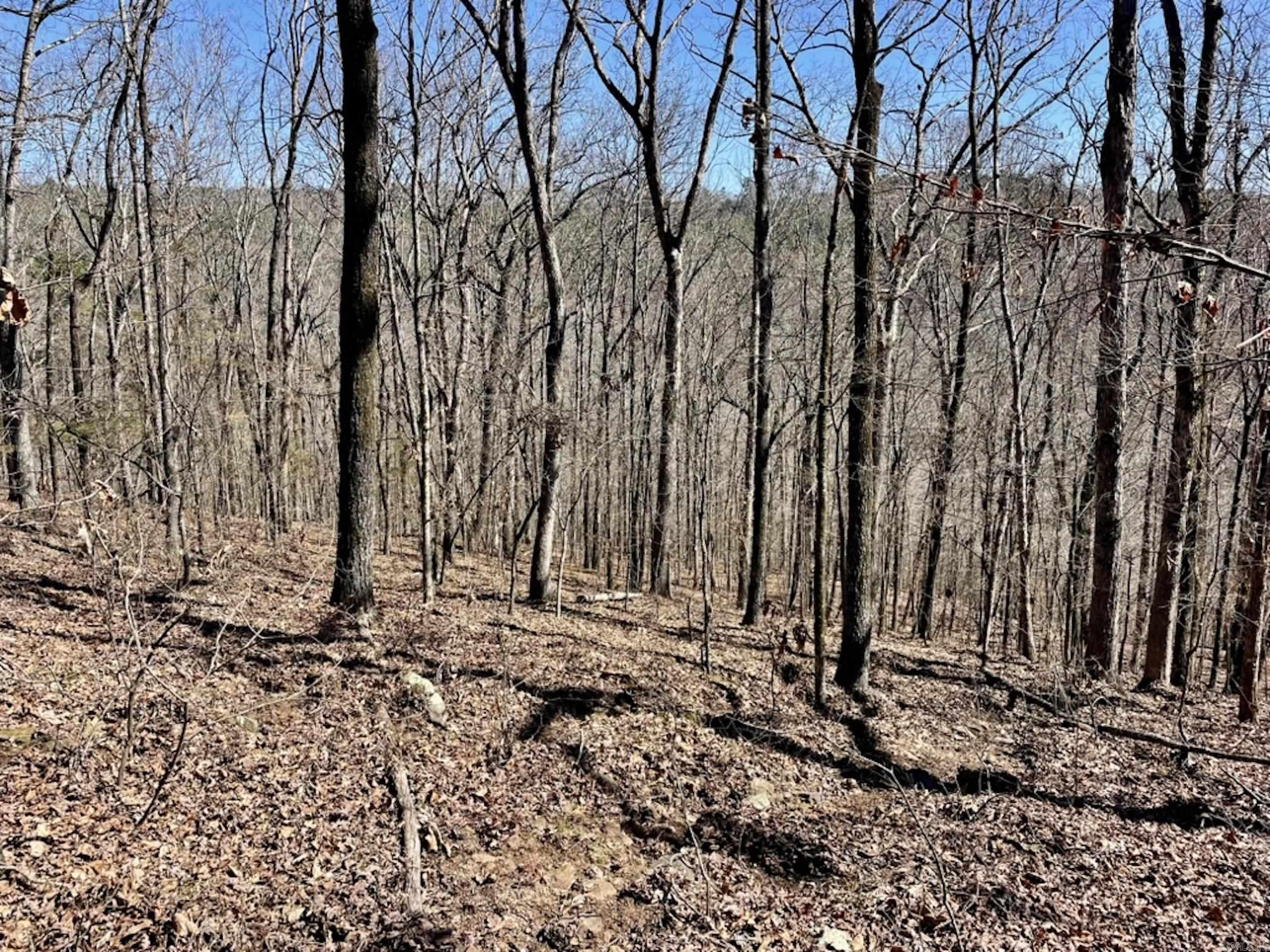 000  Old Brewer Rd. S  Edgemont, AR