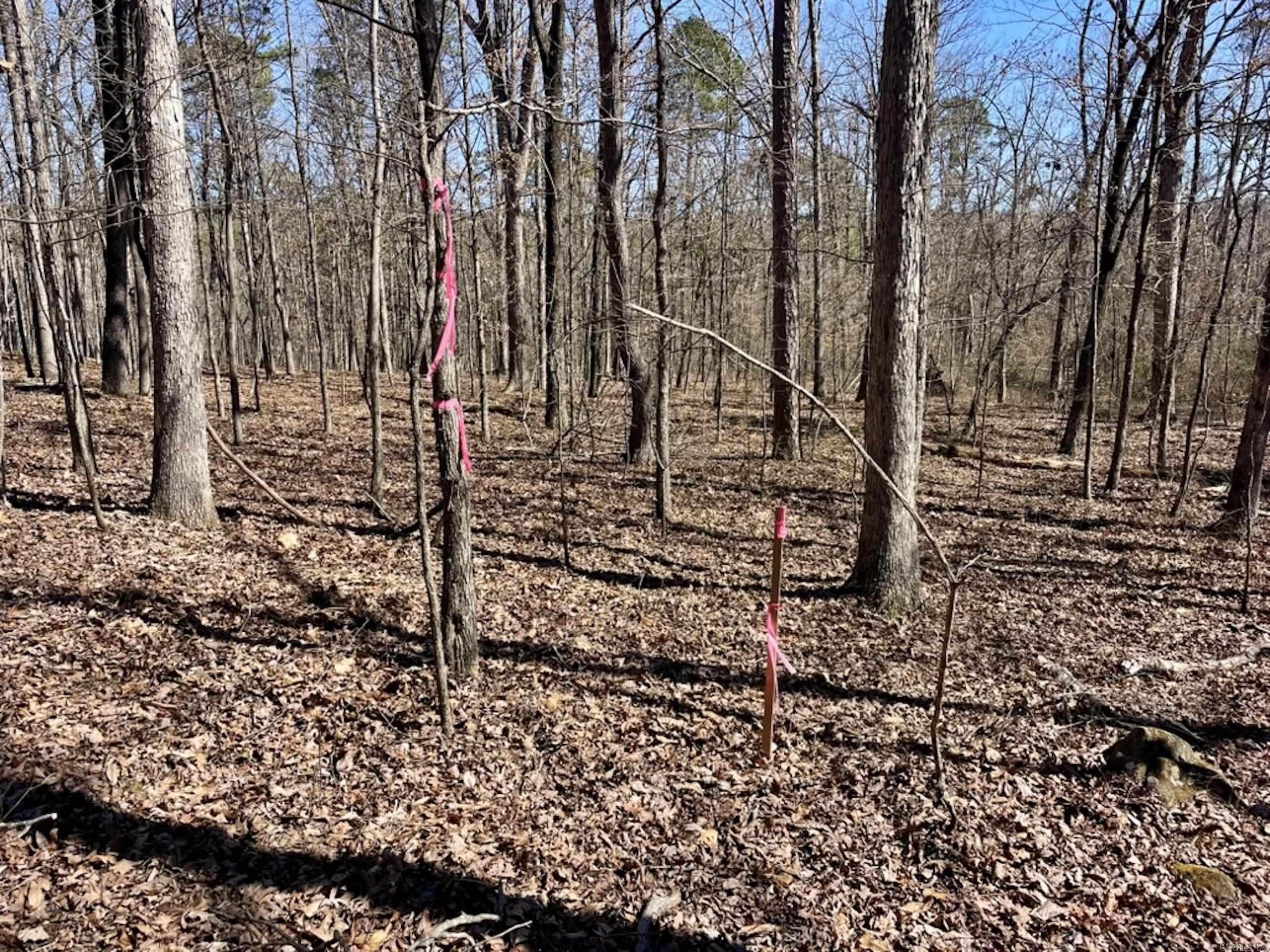 000  Old Brewer Rd. S  Edgemont, AR