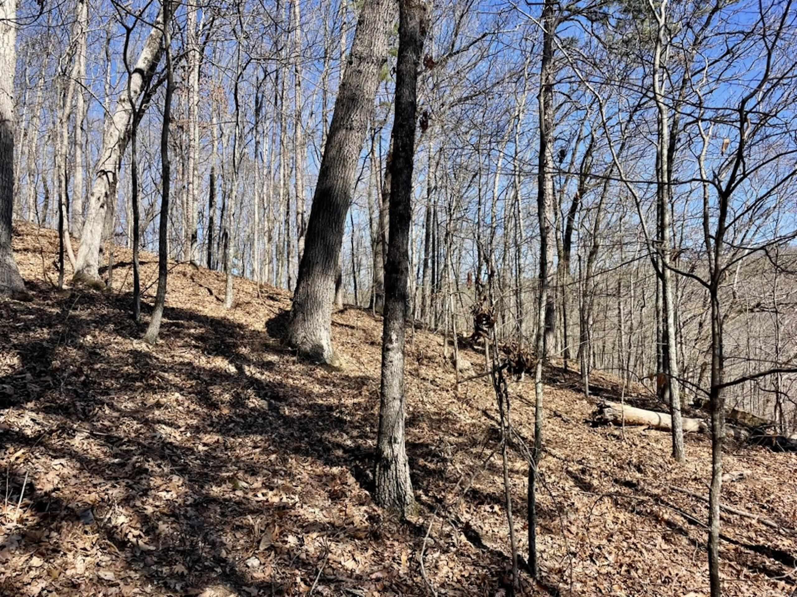 000  Old Brewer Rd. S  Edgemont, AR