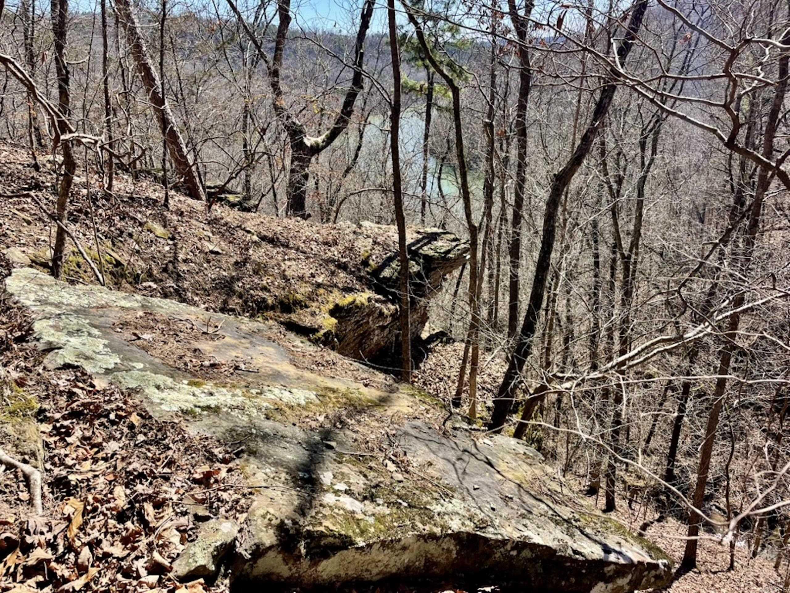 000  Old Brewer Rd. S  Edgemont, AR