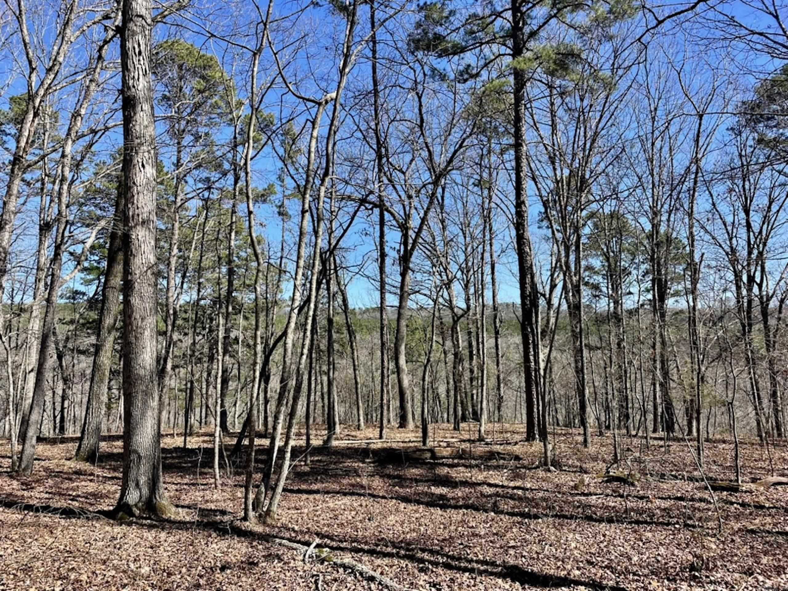 000  Old Brewer Rd. S  Edgemont, AR