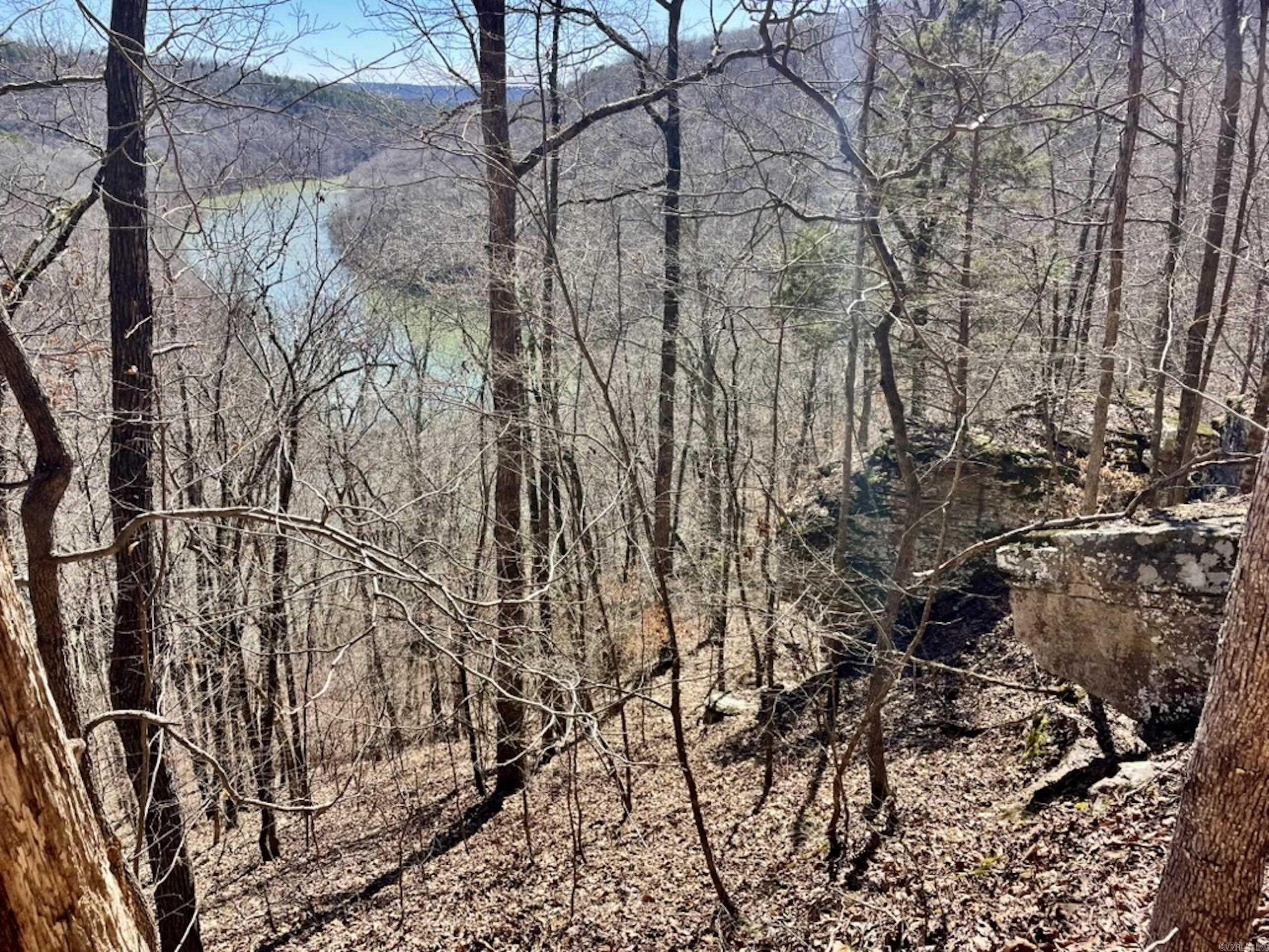 000  Old Brewer Rd. S  Edgemont, AR