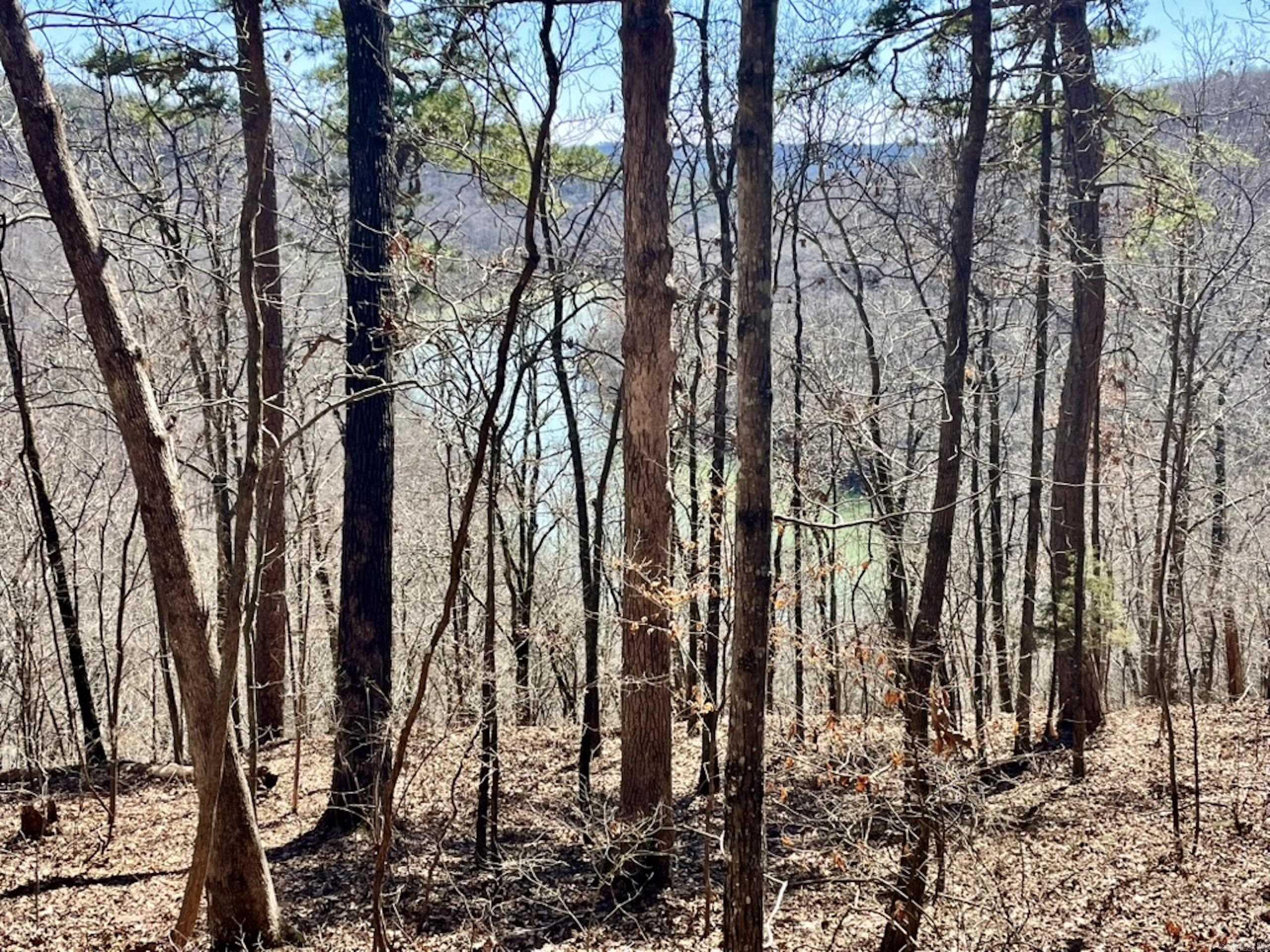 000  Old Brewer Rd. S  Edgemont, AR