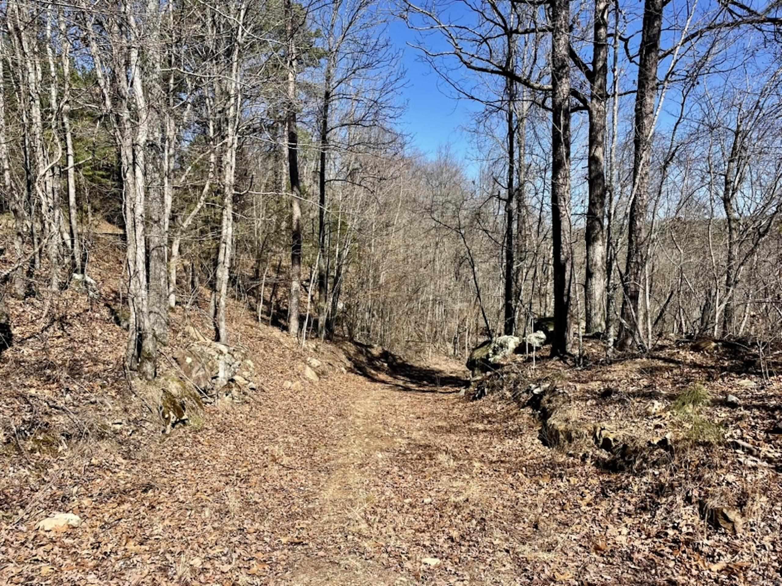 000  Old Brewer Rd. S  Edgemont, AR