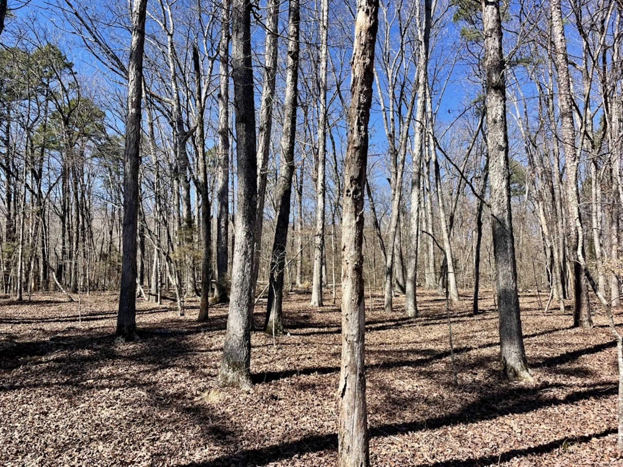 000  Old Brewer Rd. S  Edgemont, AR
