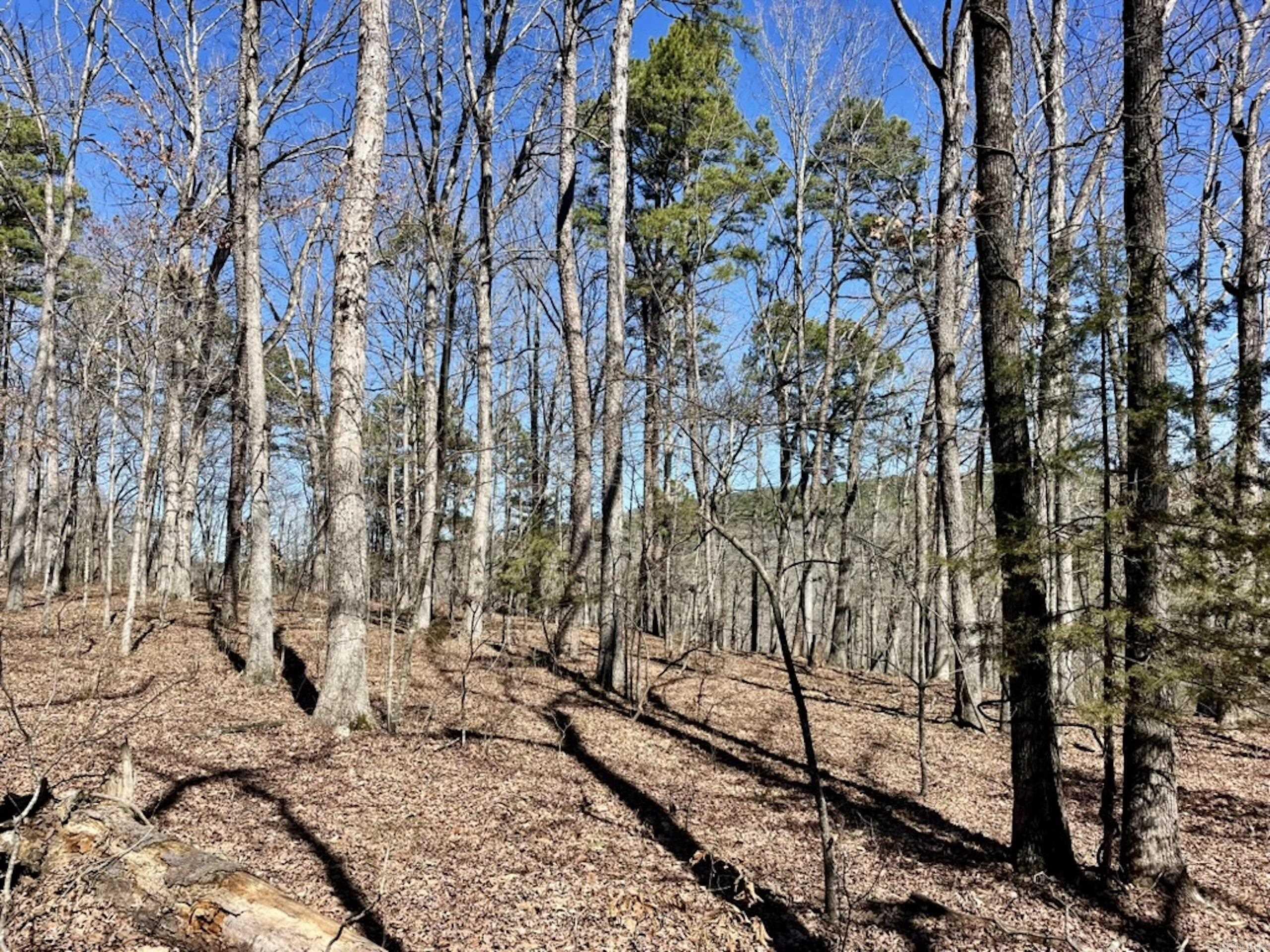 000  Old Brewer Rd. S  Edgemont, AR