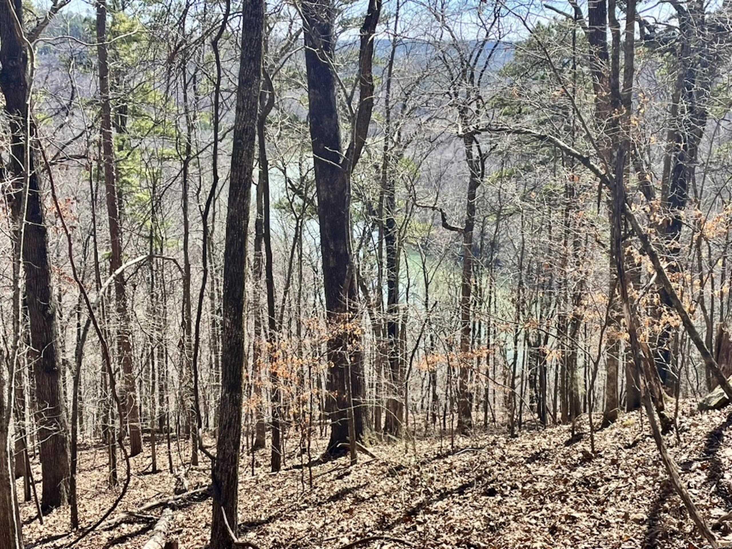 000  Old Brewer Rd. S  Edgemont, AR