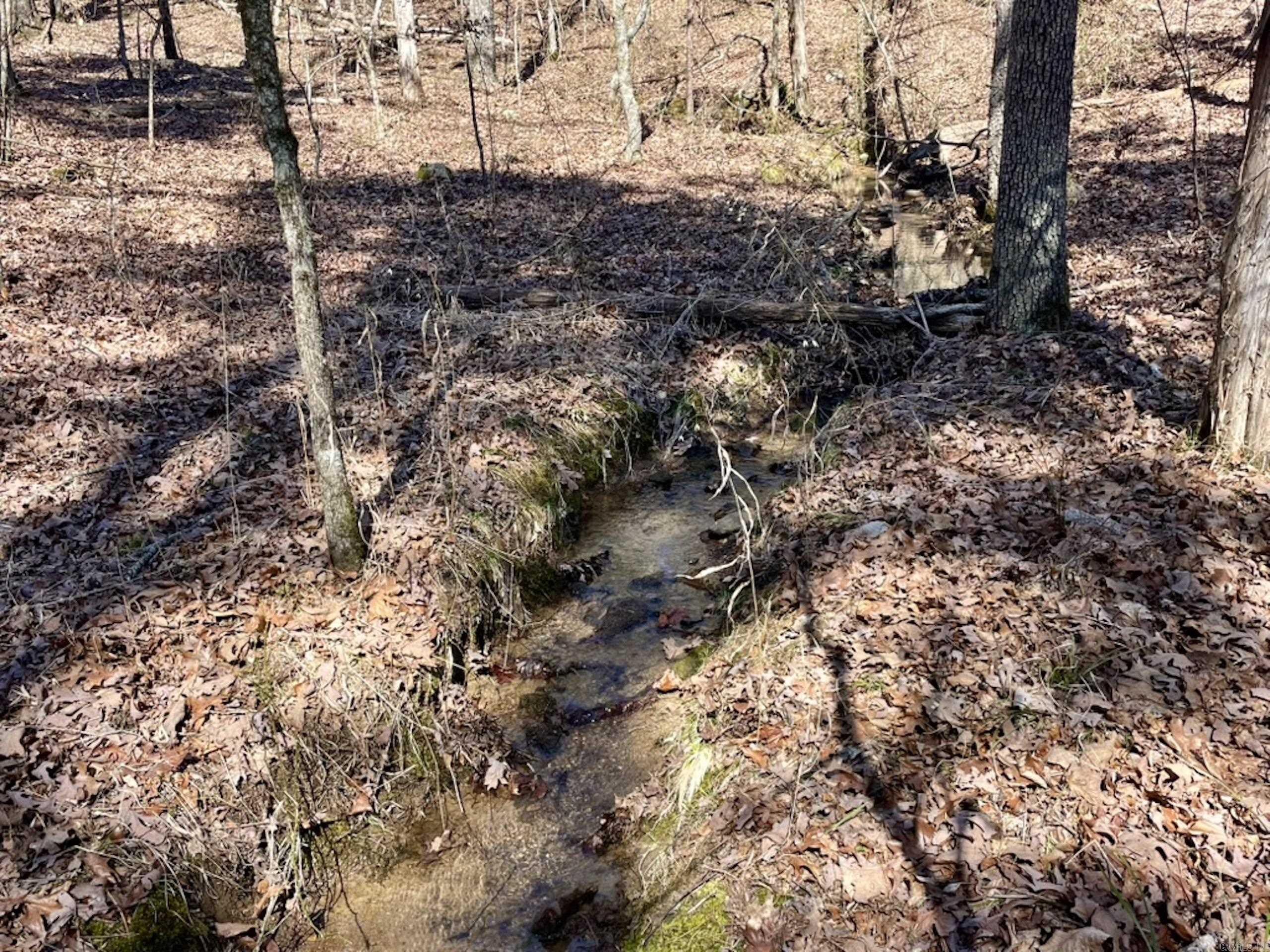 000  Old Brewer Rd. S  Edgemont, AR