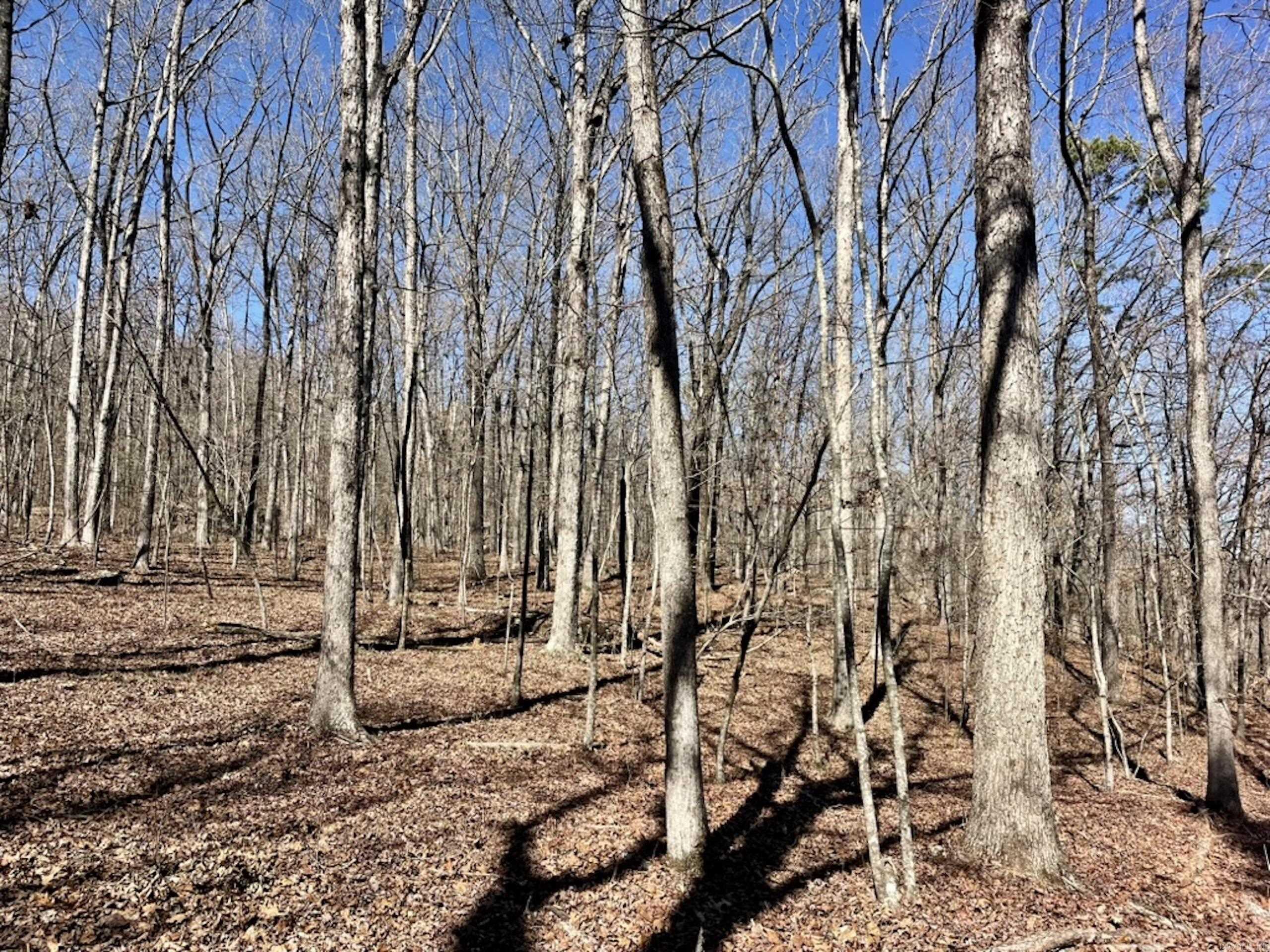 000  Old Brewer Rd. S  Edgemont, AR