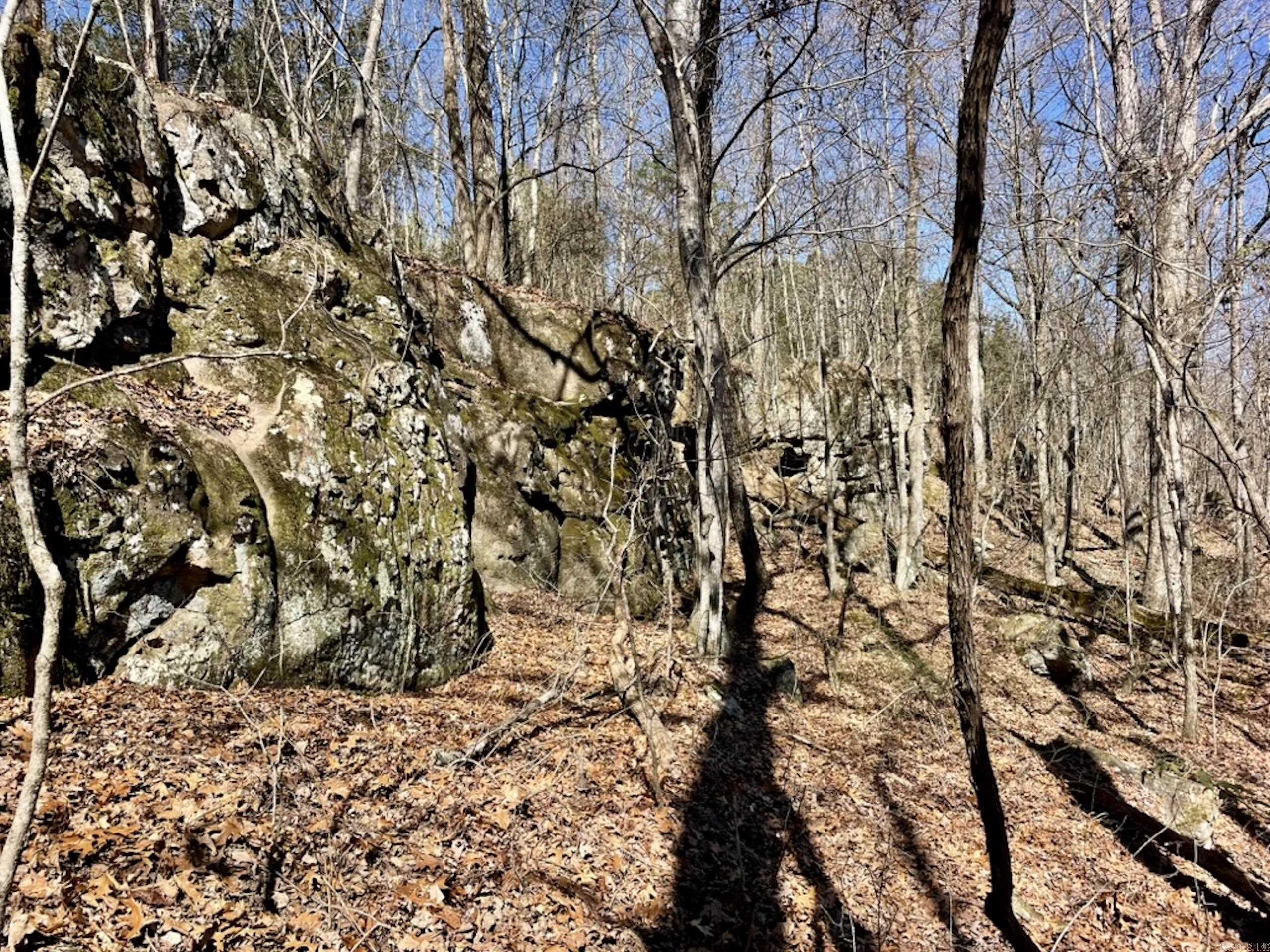 000  Old Brewer Rd. S  Edgemont, AR