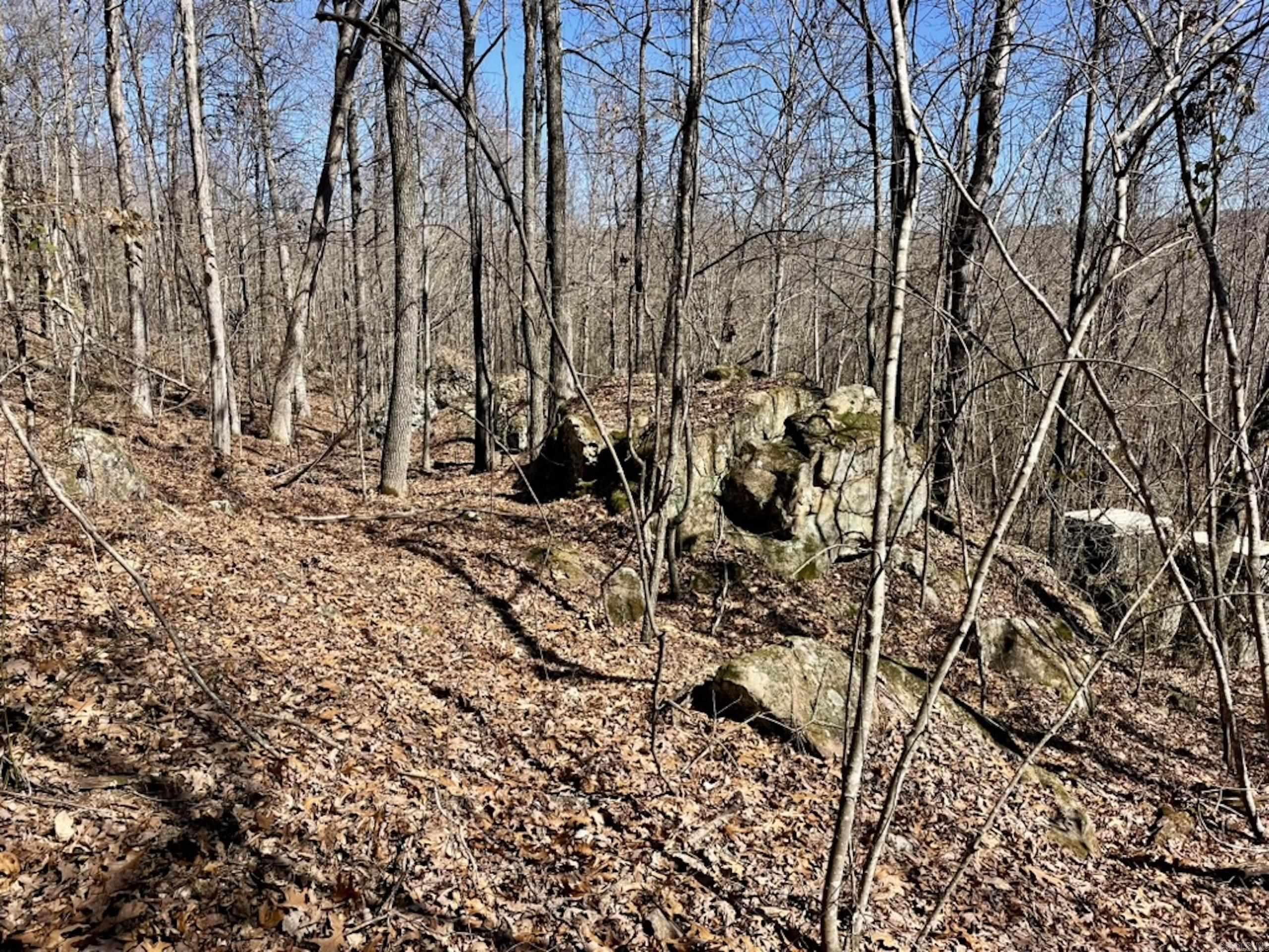 000  Old Brewer Rd. S  Edgemont, AR