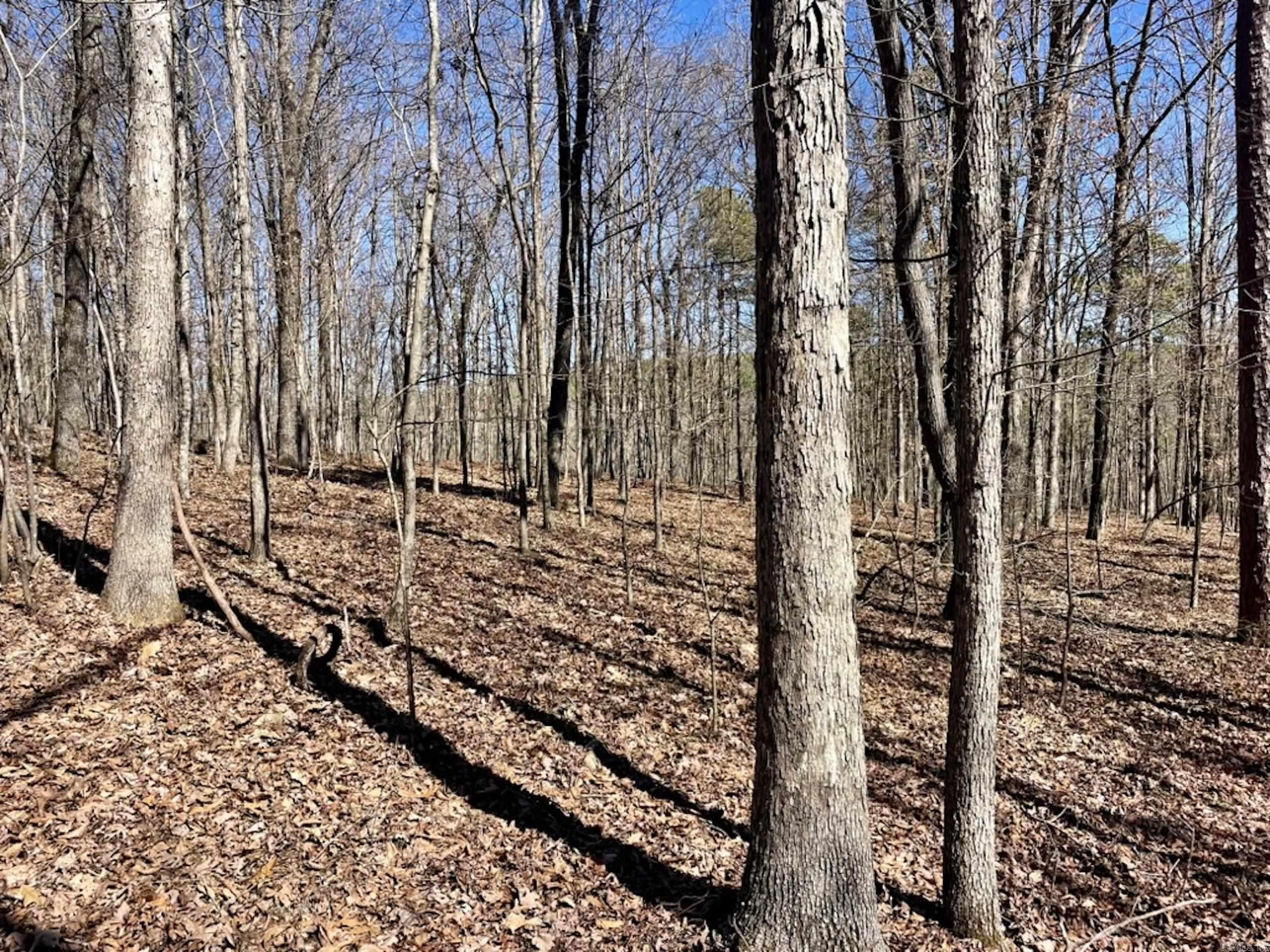 000  Old Brewer Rd. S  Edgemont, AR