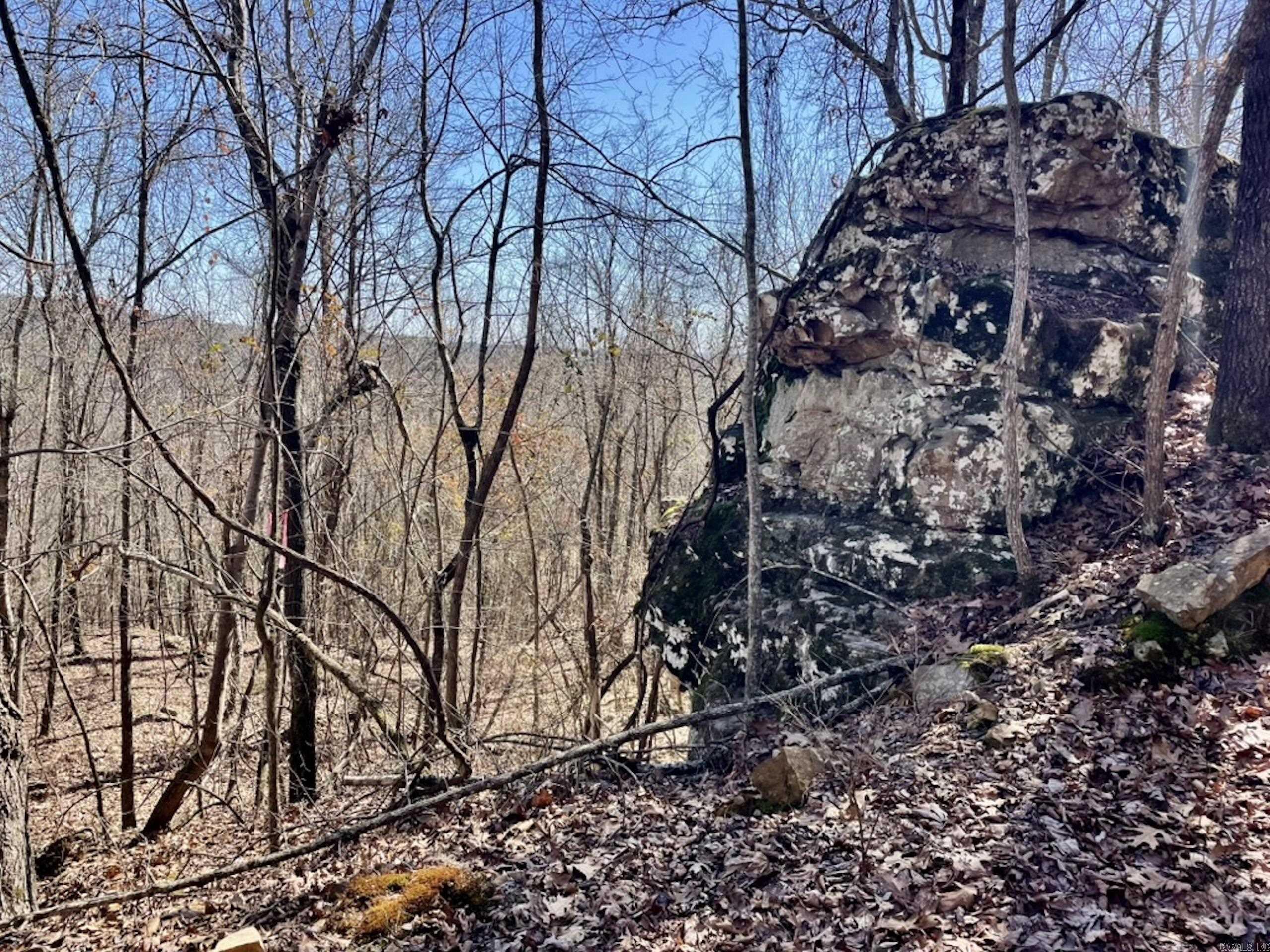 000  Old Brewer Rd. S  Edgemont, AR