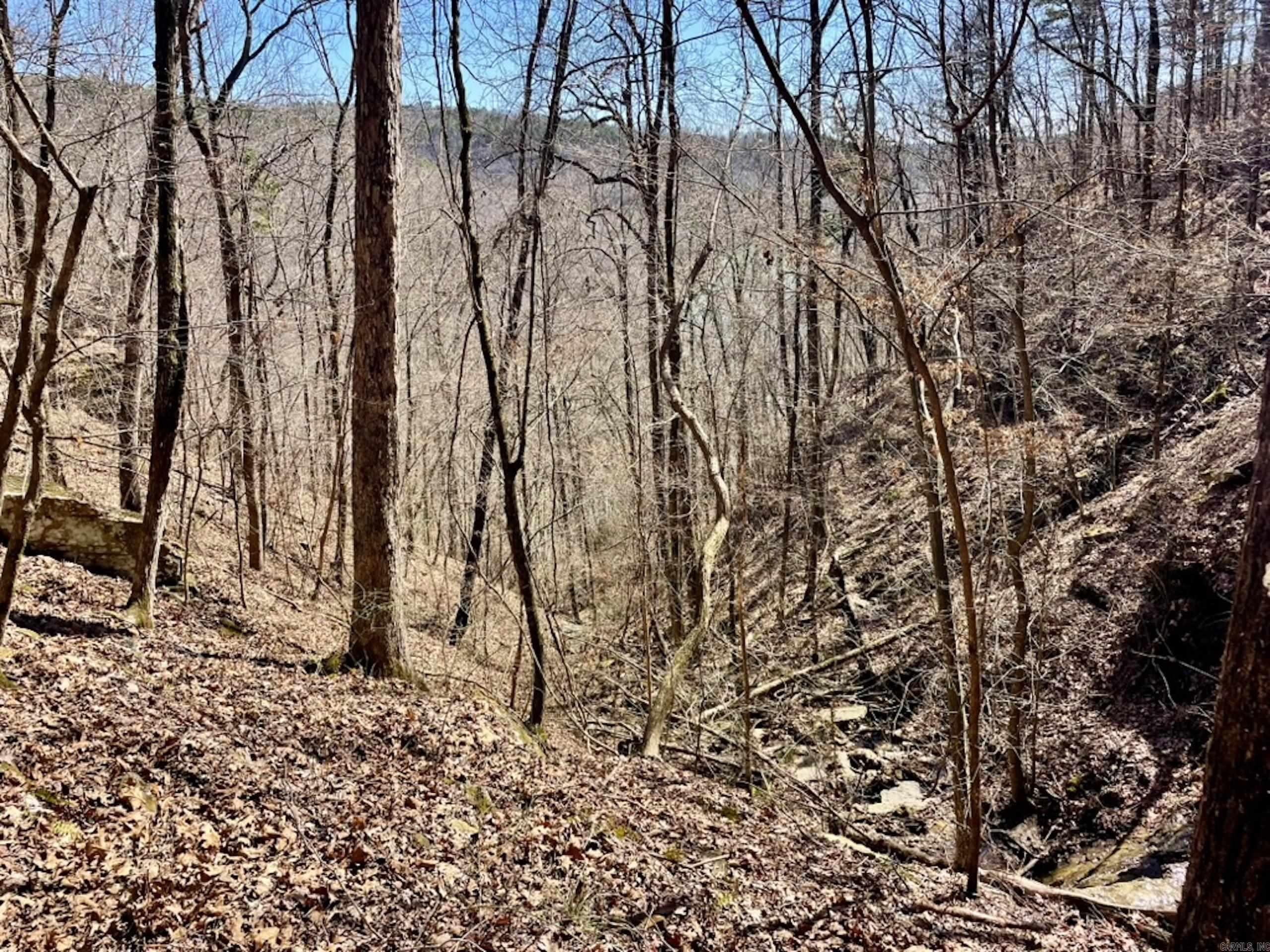000  Old Brewer Rd. S  Edgemont, AR