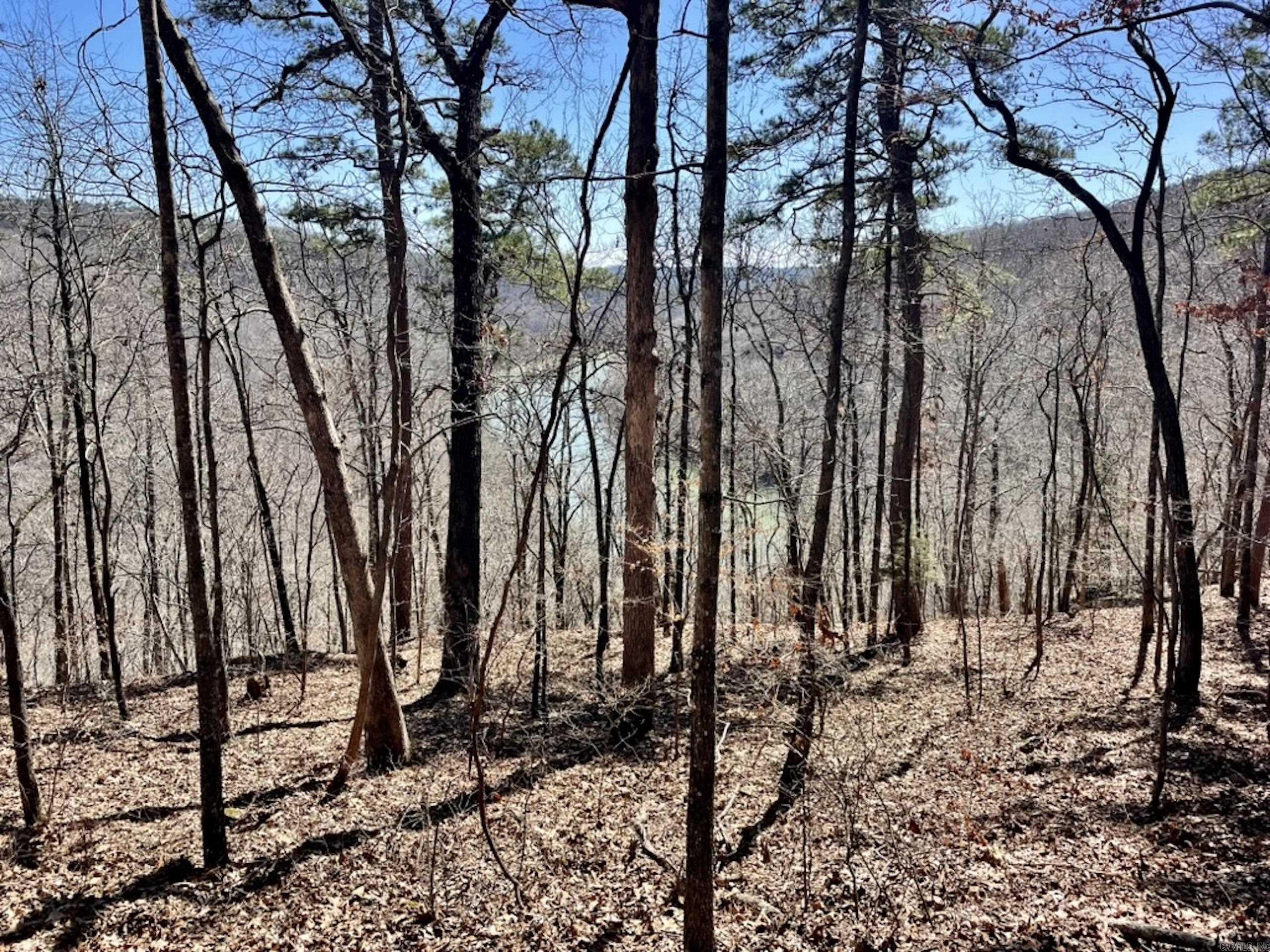 000  Old Brewer Rd. S  Edgemont, AR