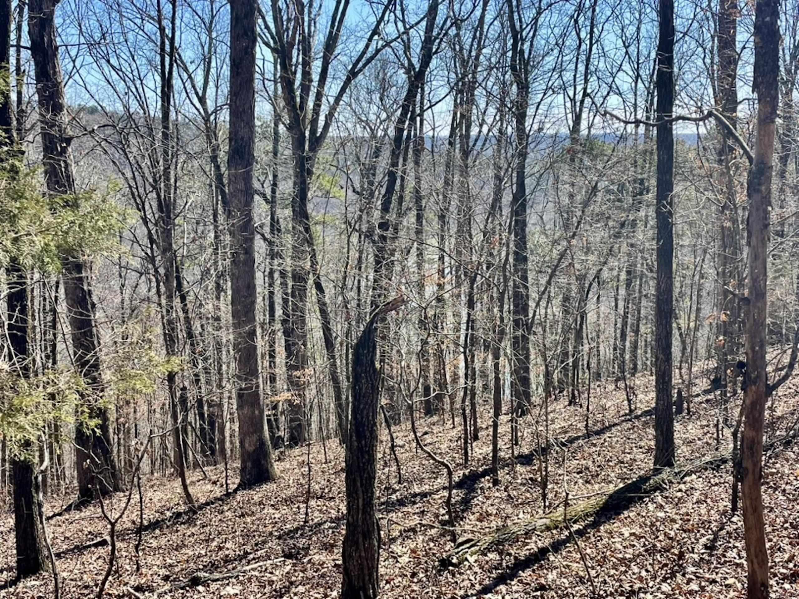 000  Old Brewer Rd. S  Edgemont, AR