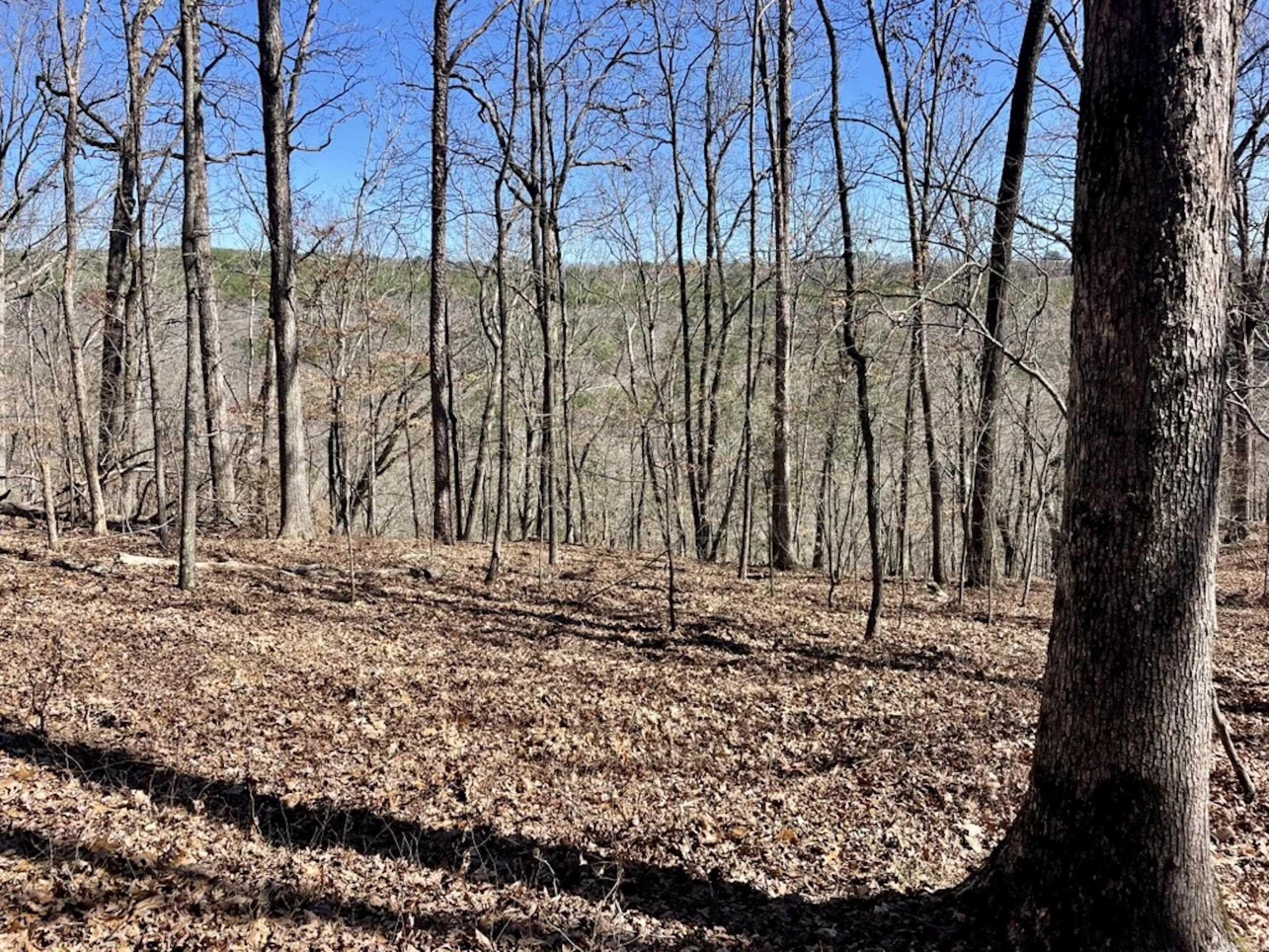 000  Old Brewer Rd. S  Edgemont, AR