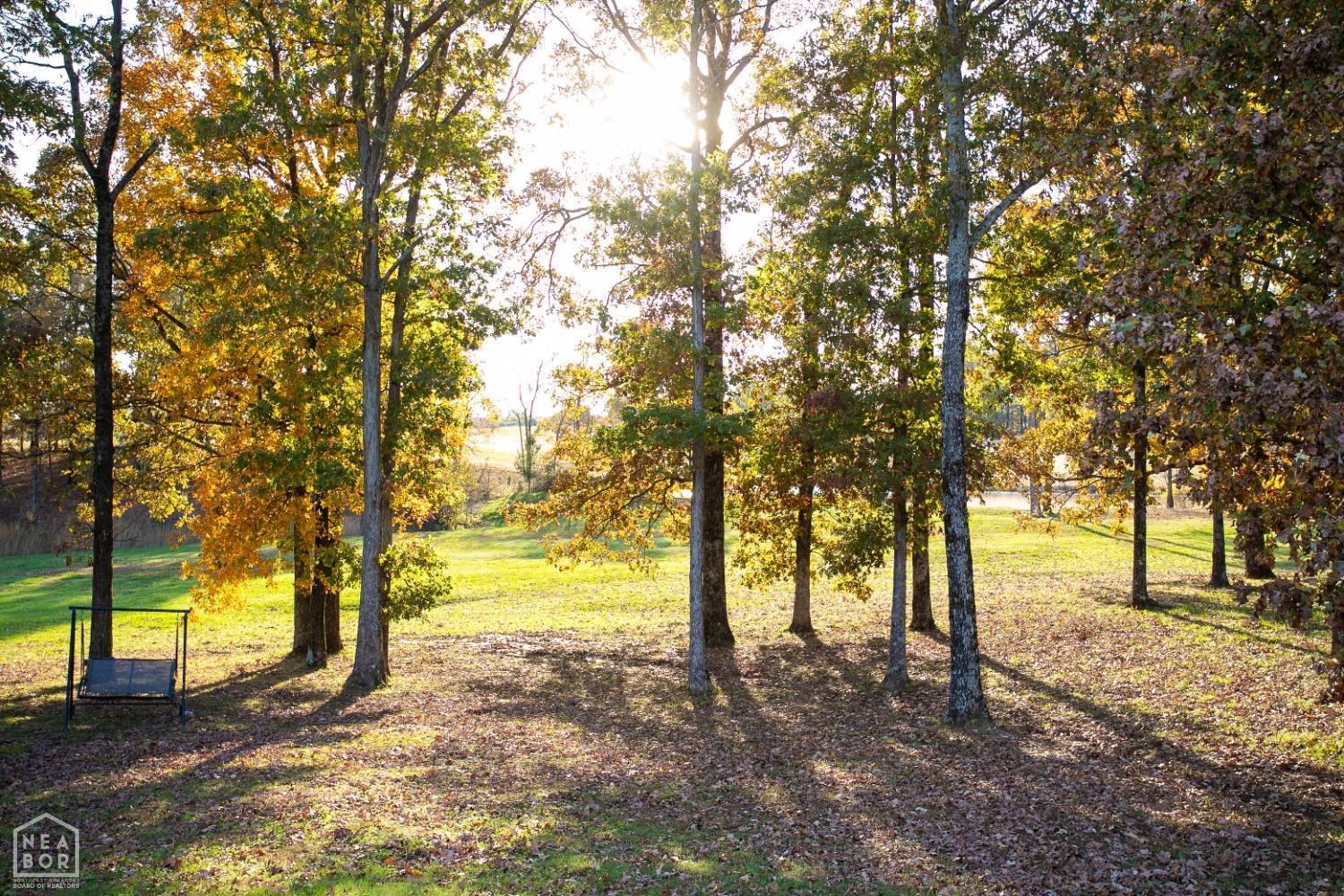 2640  County Road 759  Jonesboro, AR