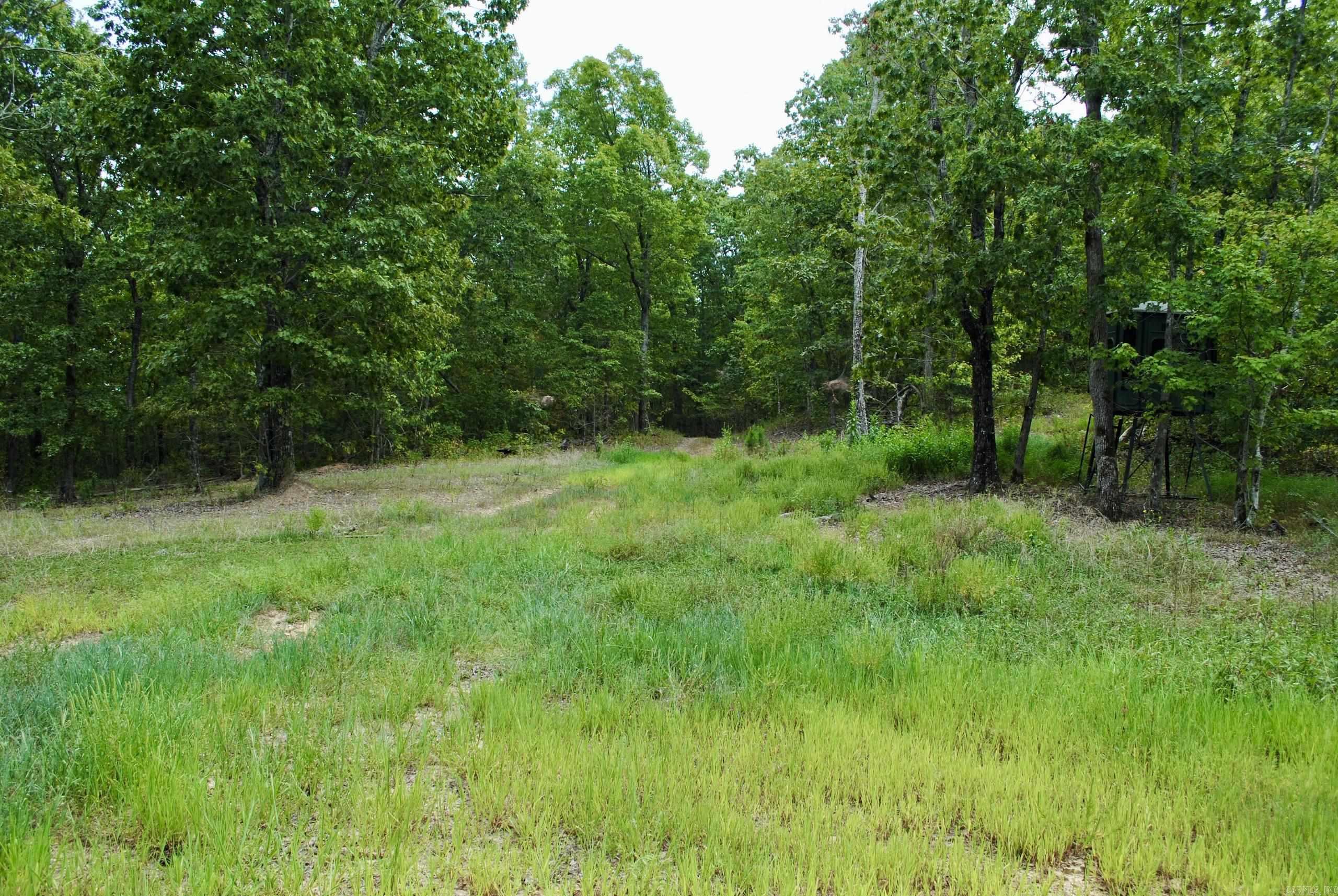 000  HWY 16 S  Jerusalem, AR