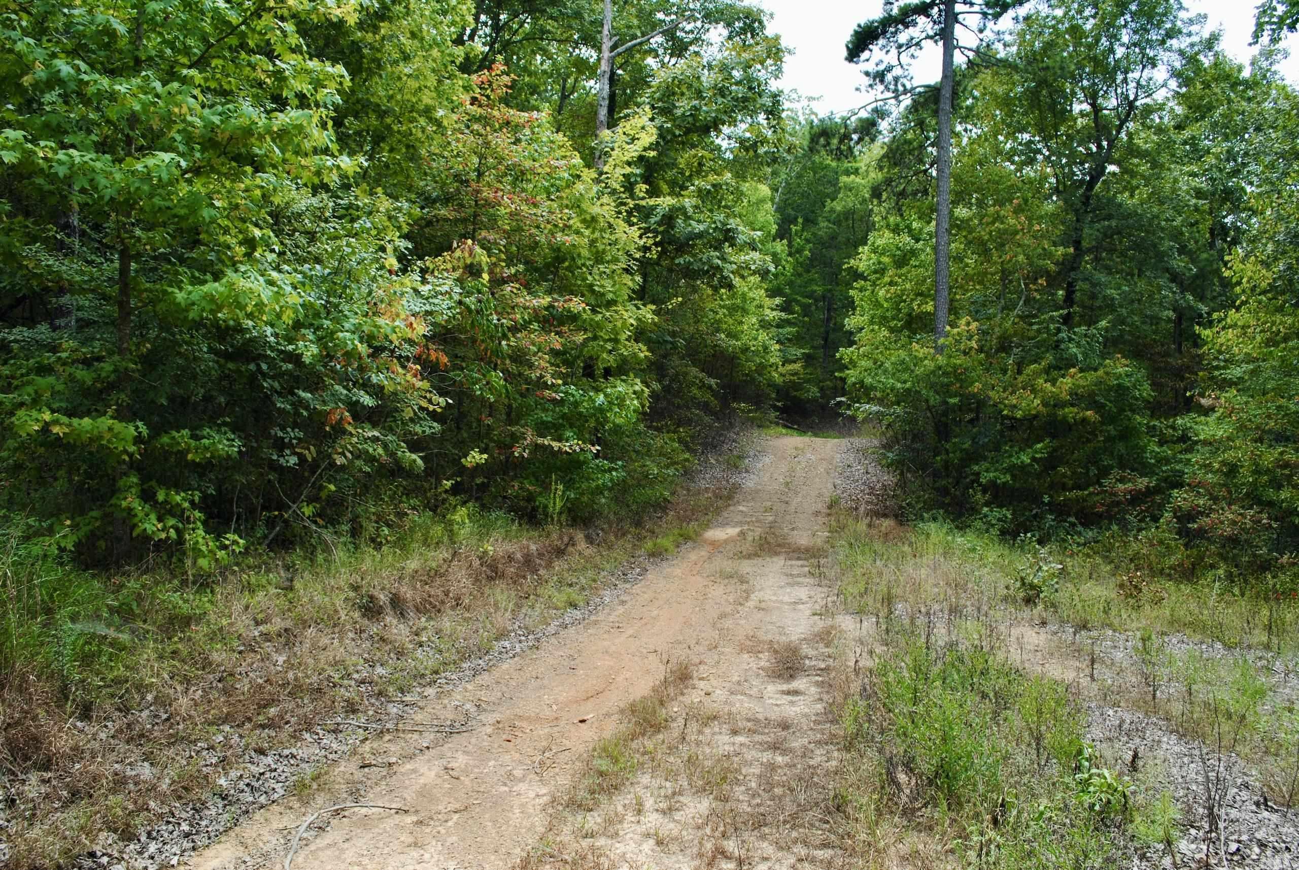 000  HWY 16 S  Jerusalem, AR
