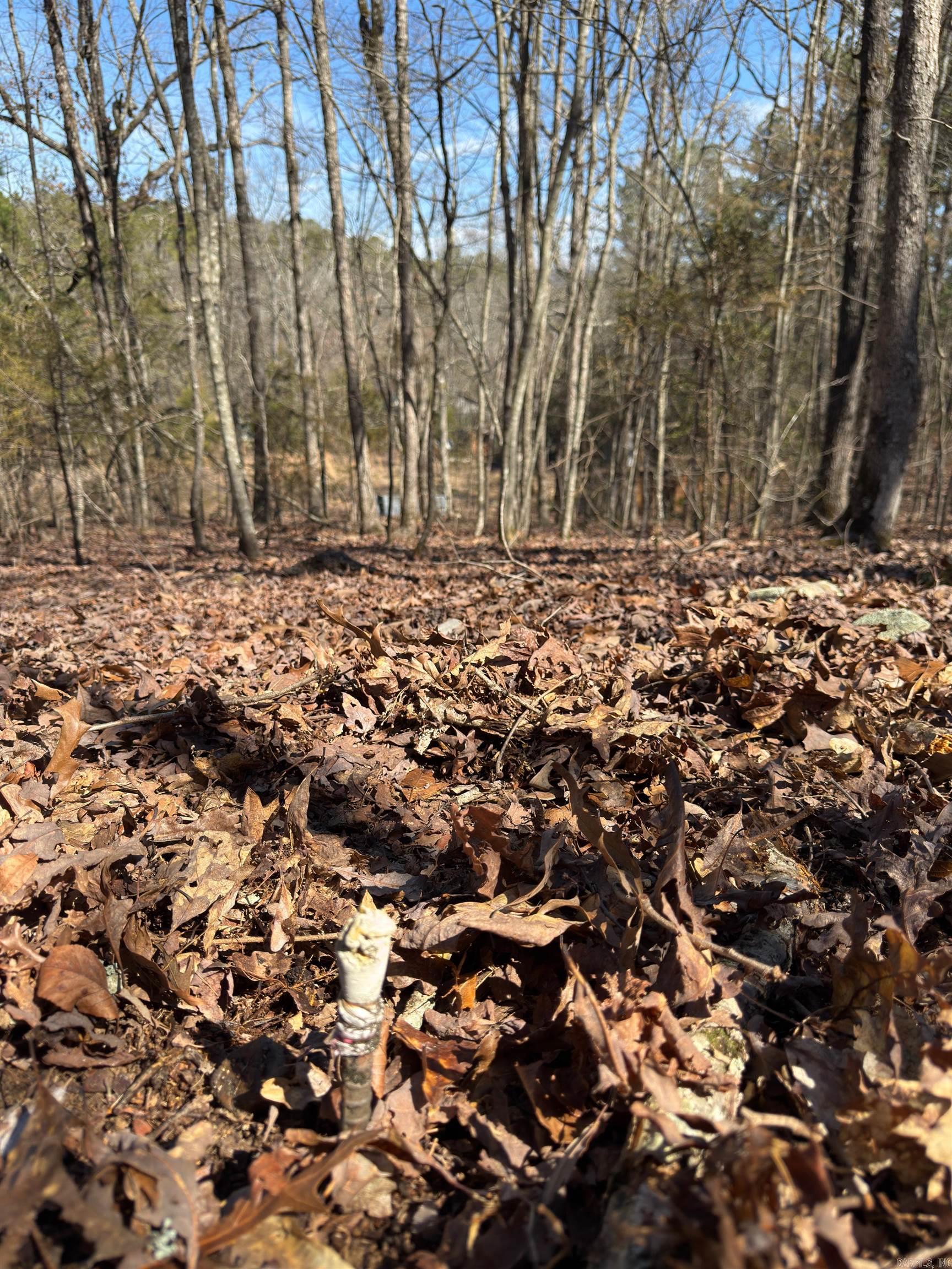 TBD  Joy Lane Parcel B  Mena, AR