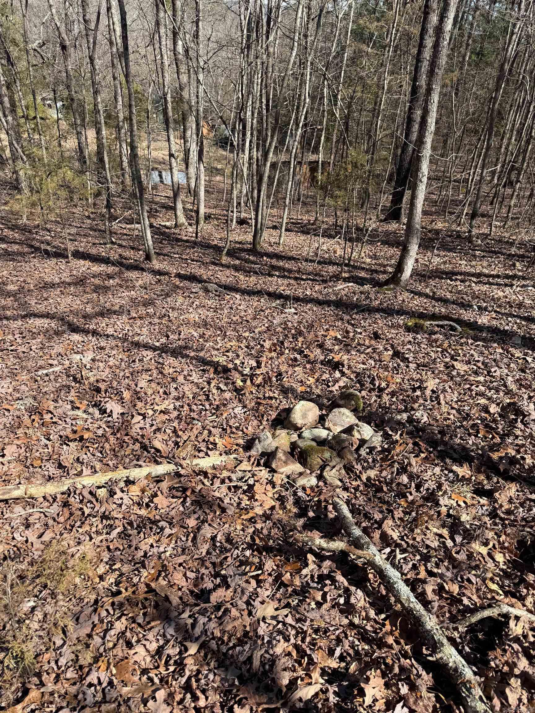 TBD  Joy Lane Parcel B  Mena, AR