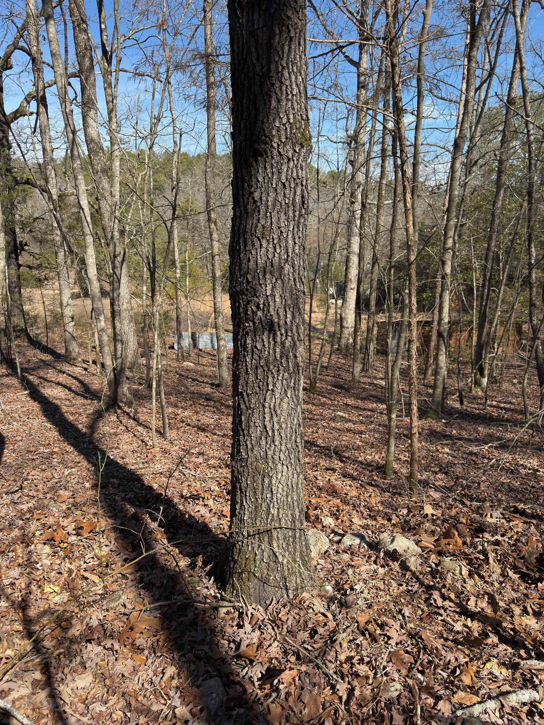 TBD  Joy Lane Parcel B  Mena, AR