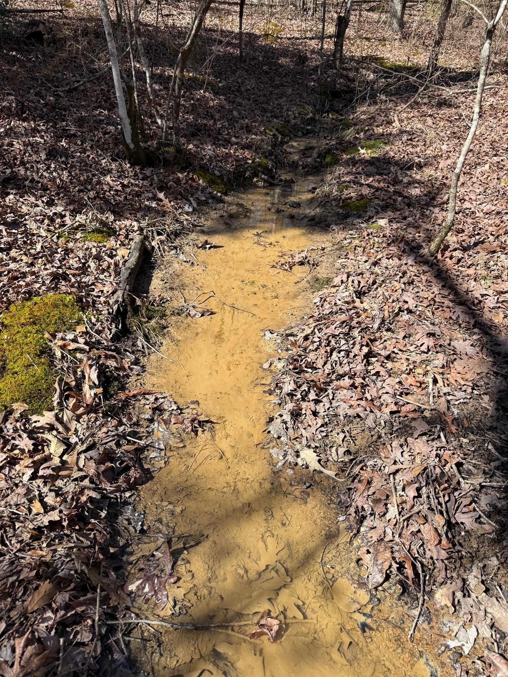 TBD  Joy Lane Parcel B  Mena, AR