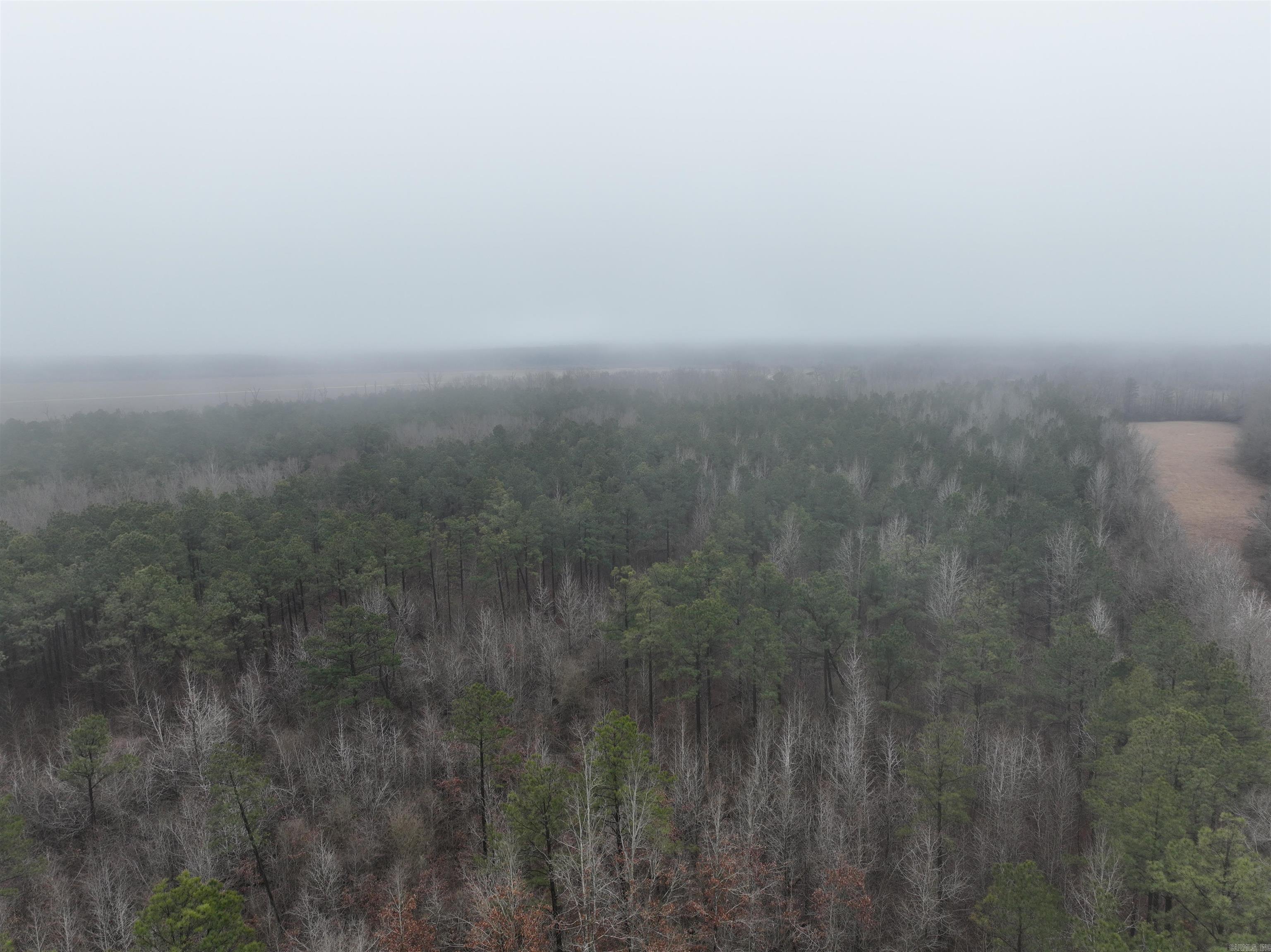 000  County Road 912  Mist, AR