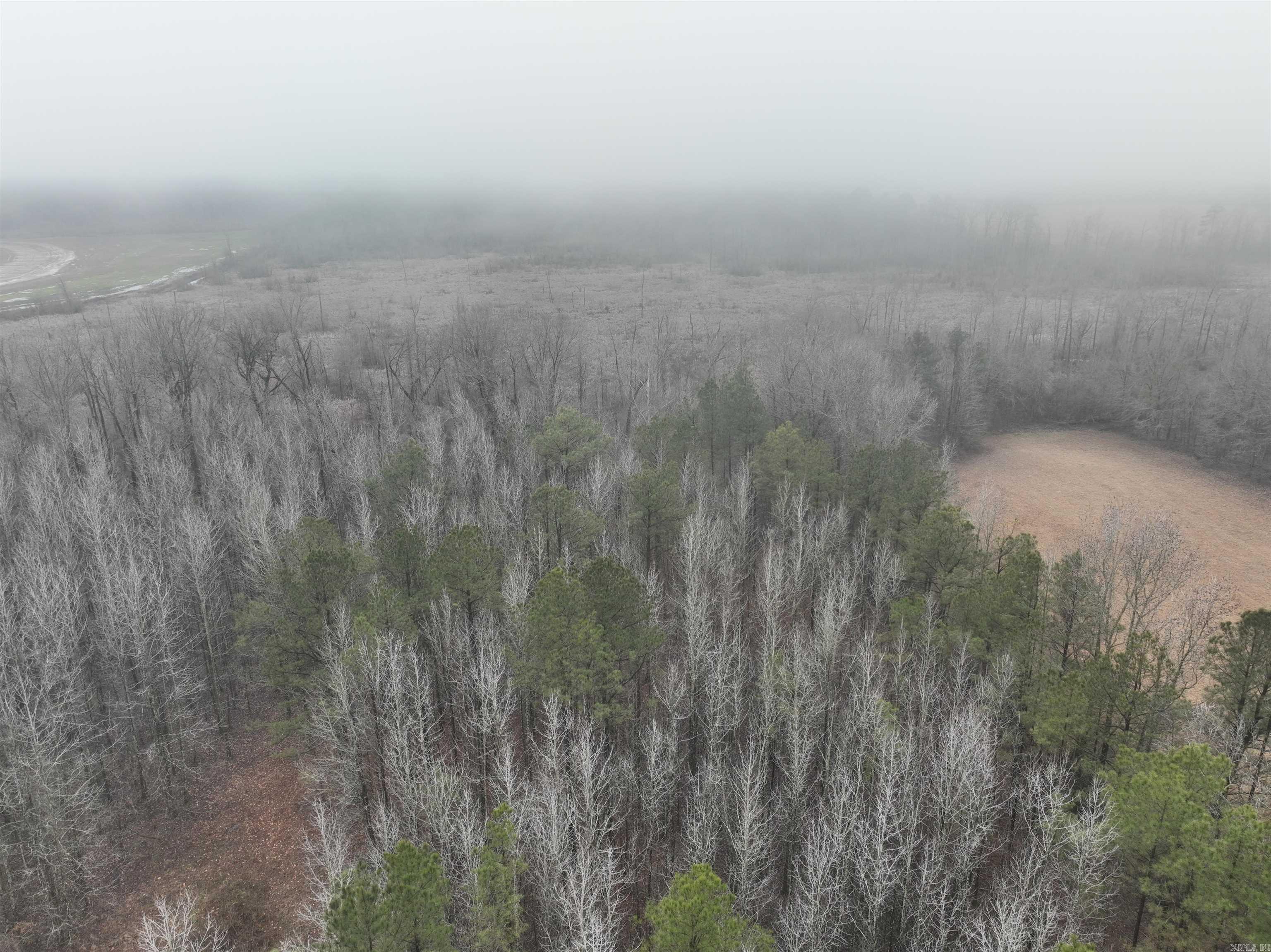 000  County Road 912  Mist, AR