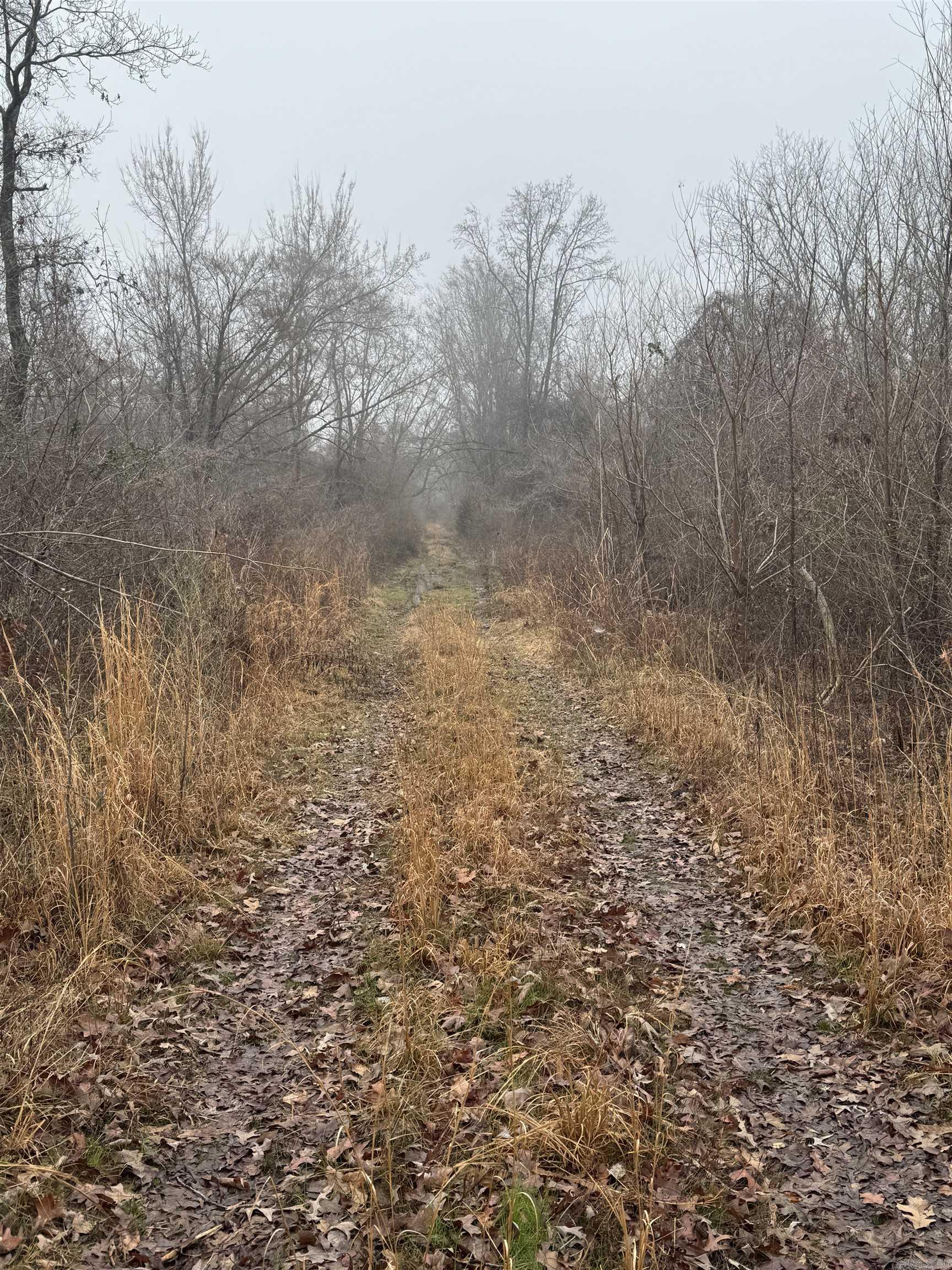 000  County Road 912  Mist, AR
