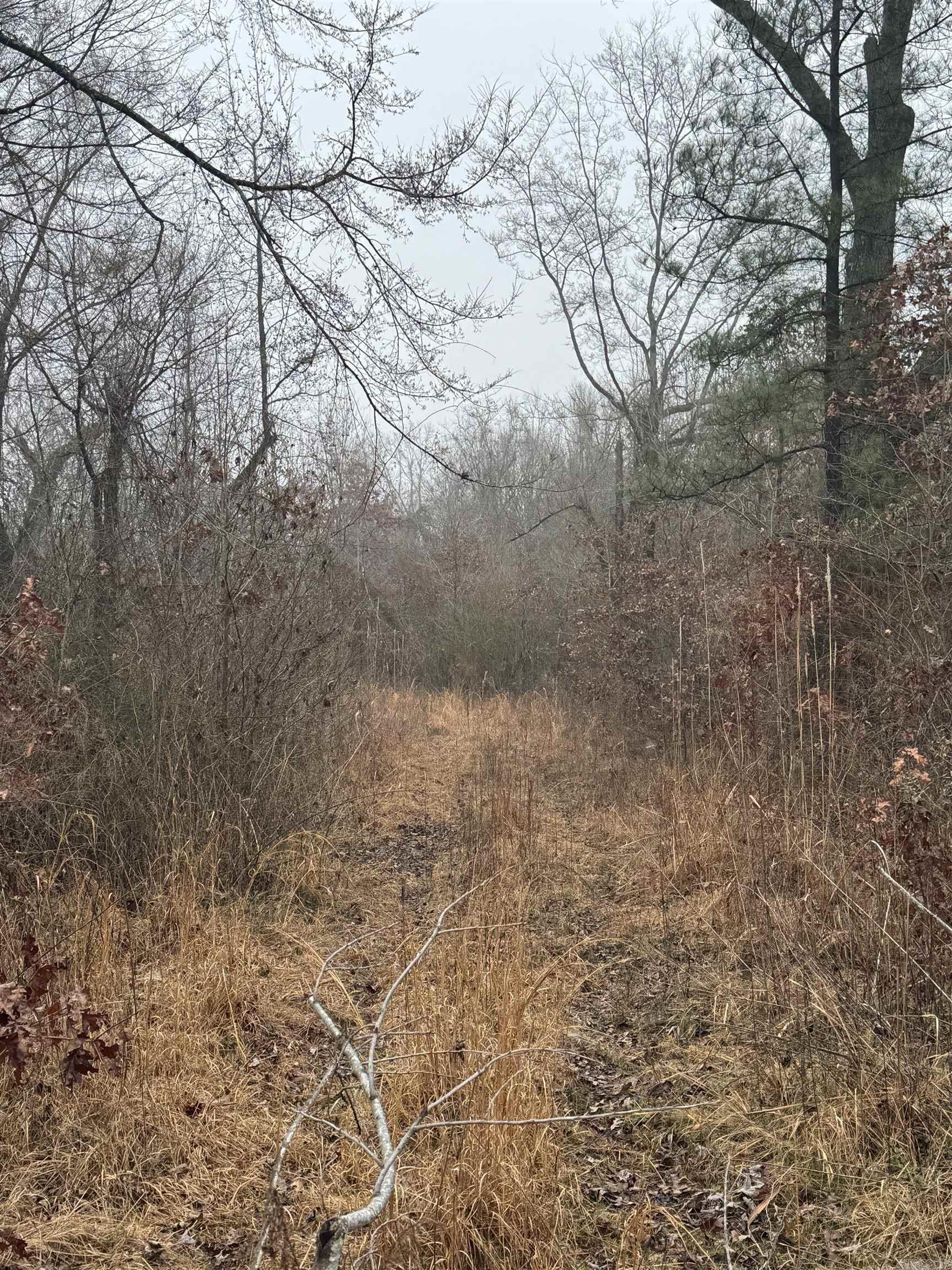 000  County Road 912  Mist, AR
